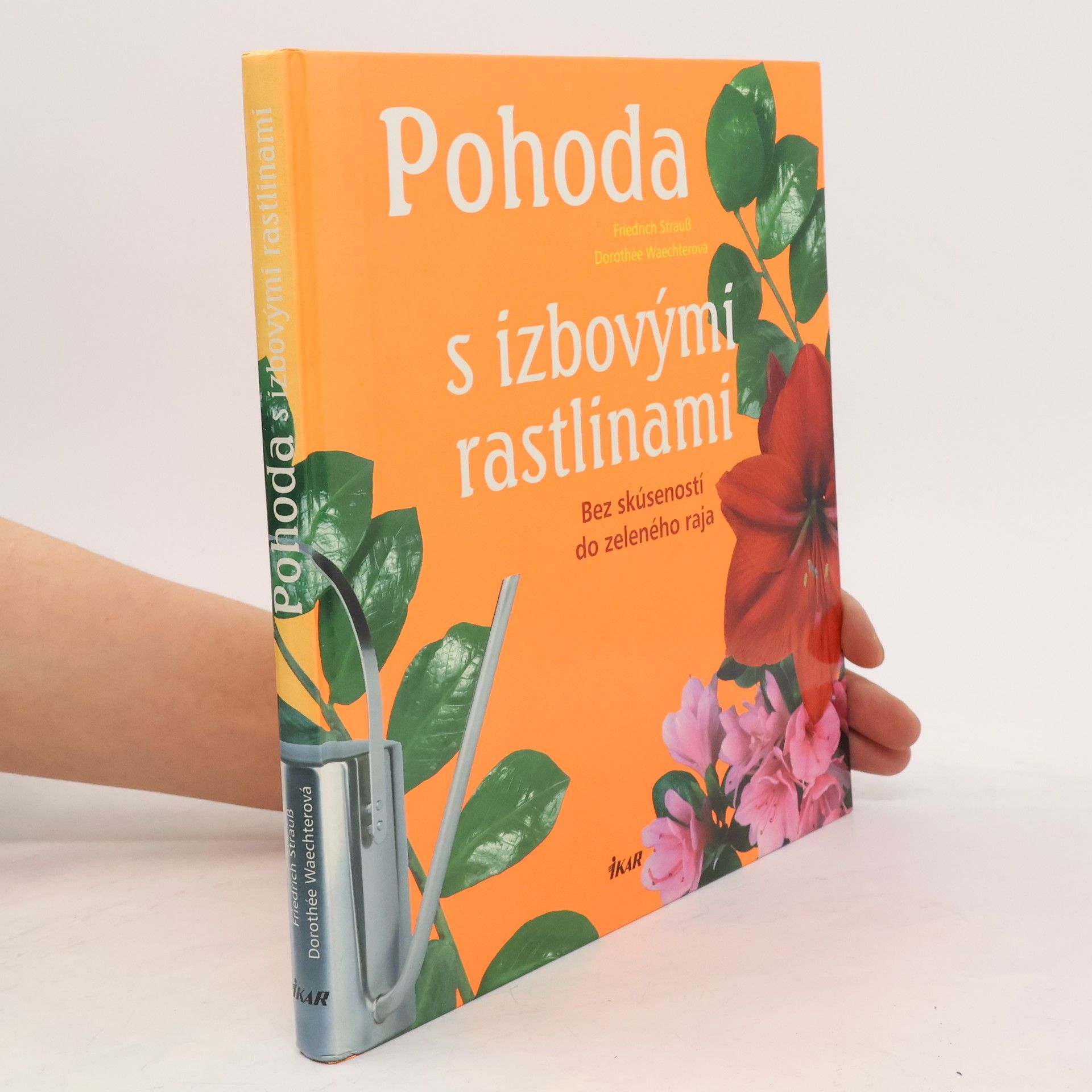 Friedrich Strauß Pohoda s izbovými rastlinami