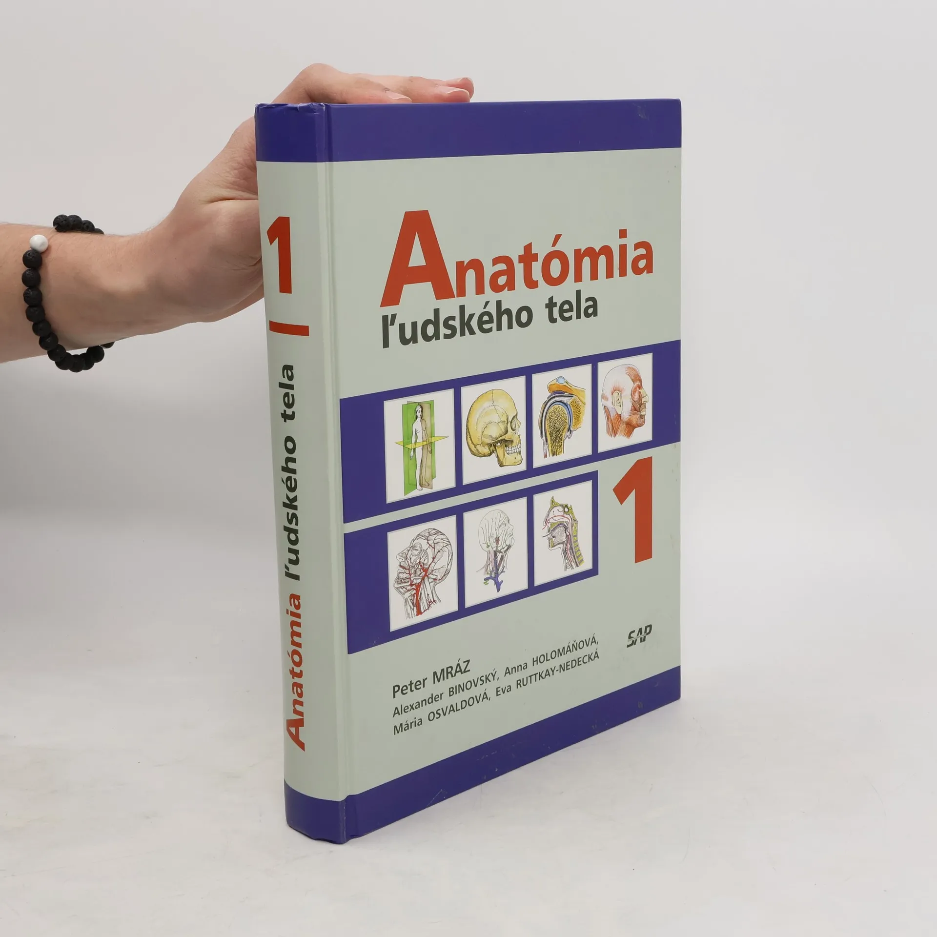Anatómia ludského tela 1 | Kniha | pevná | Peter Mráz