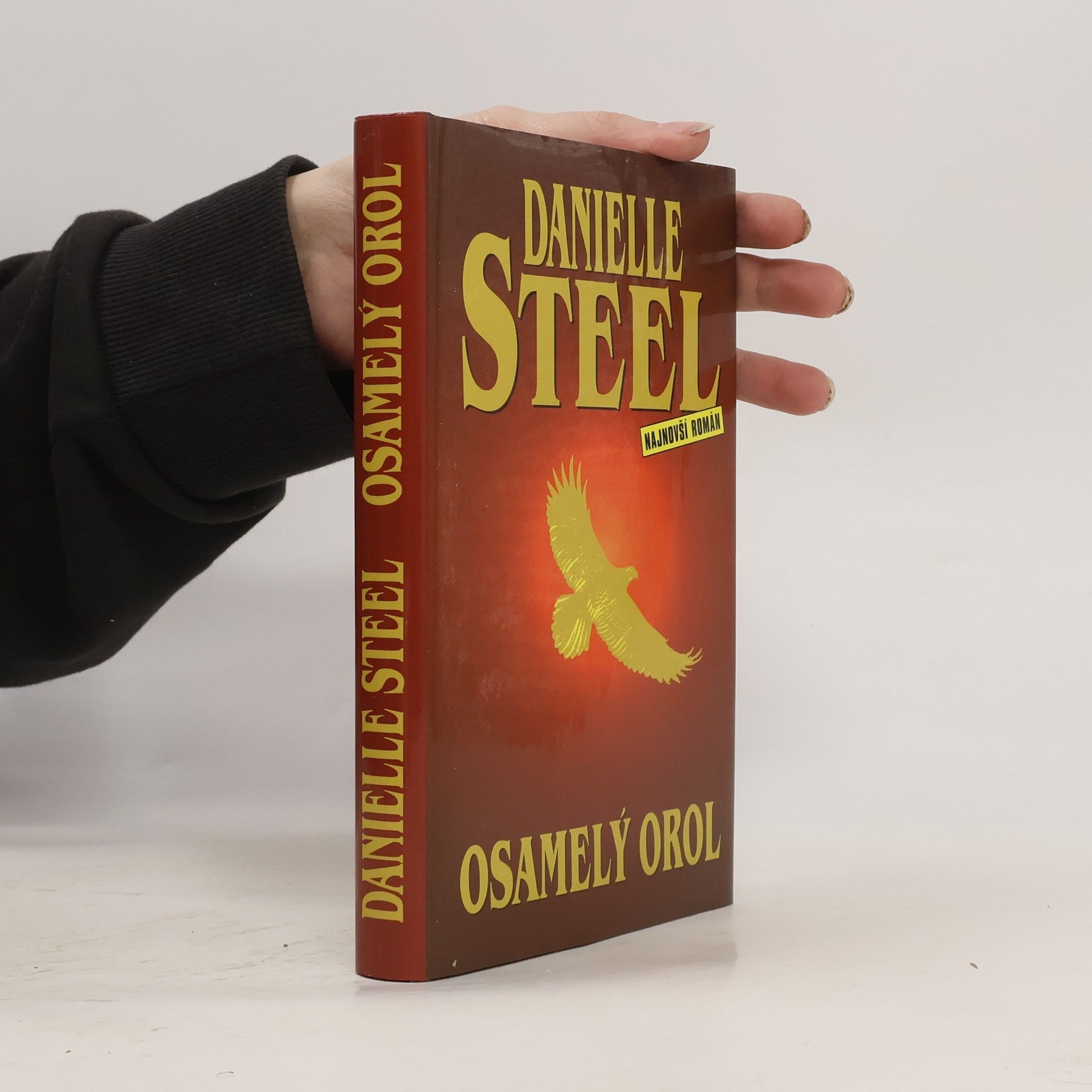 Danielle Steel Osamelý orol