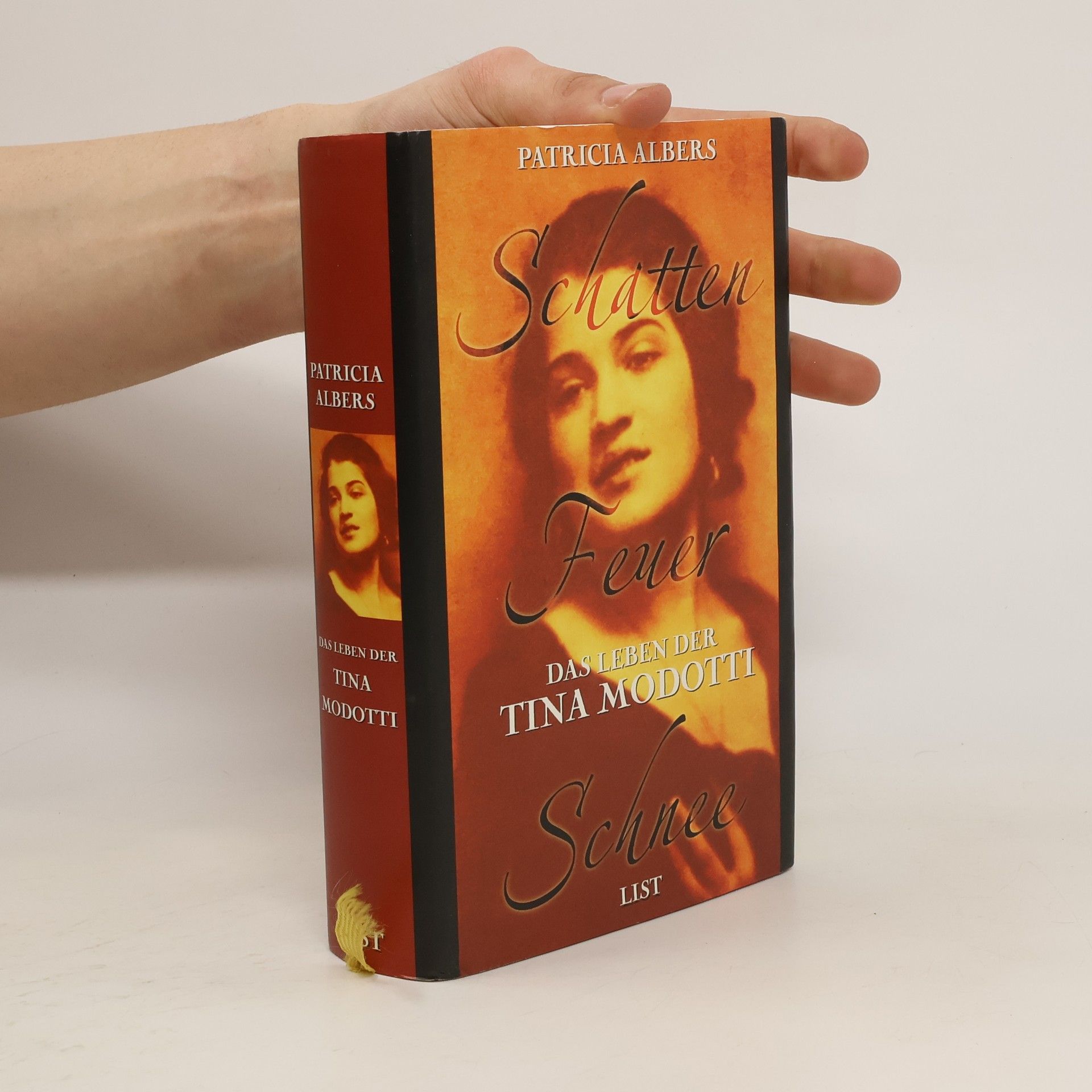 Patricia Albers Schatten, Feuer, Schnee