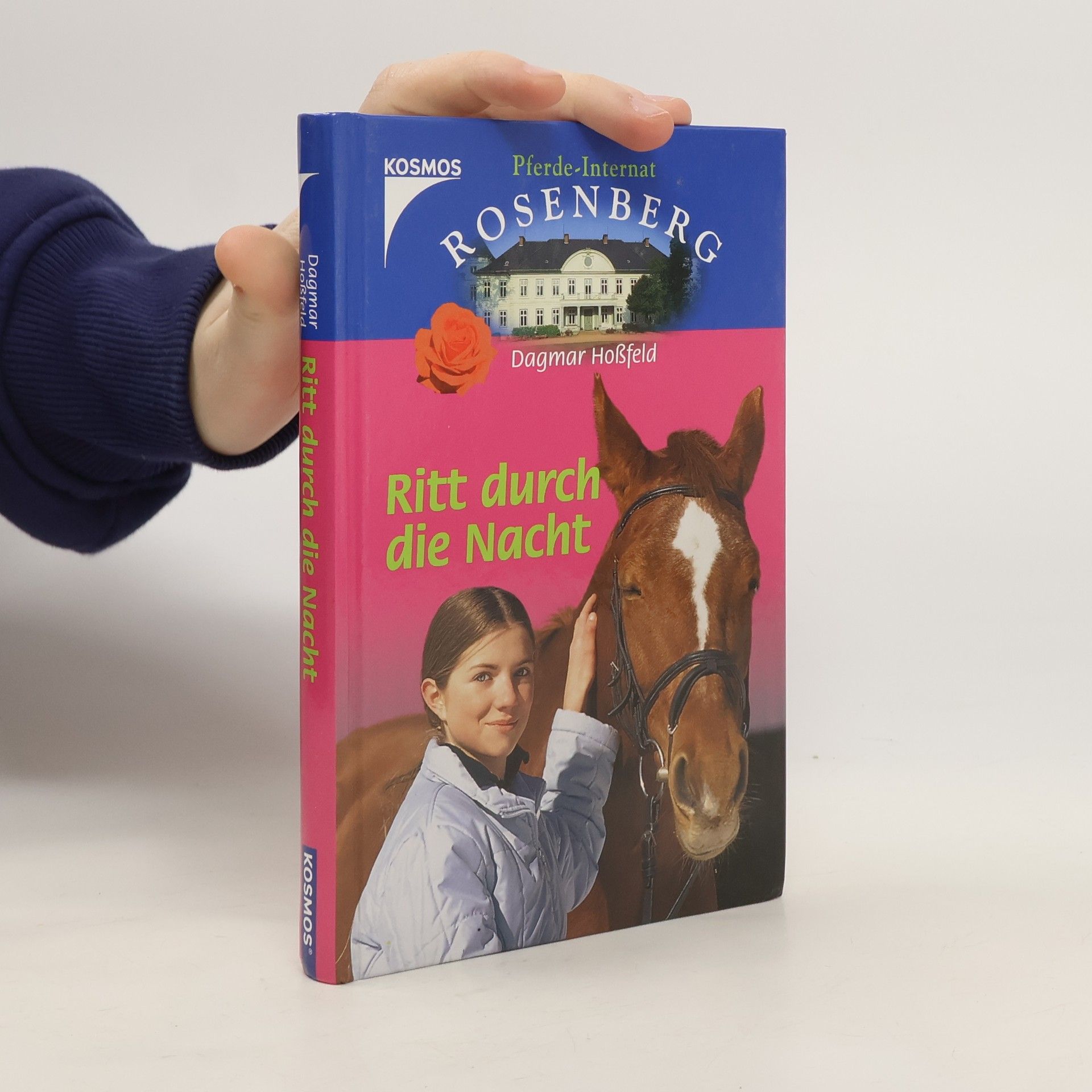 Dagmar Hoßfeld Ritt durch die Nacht