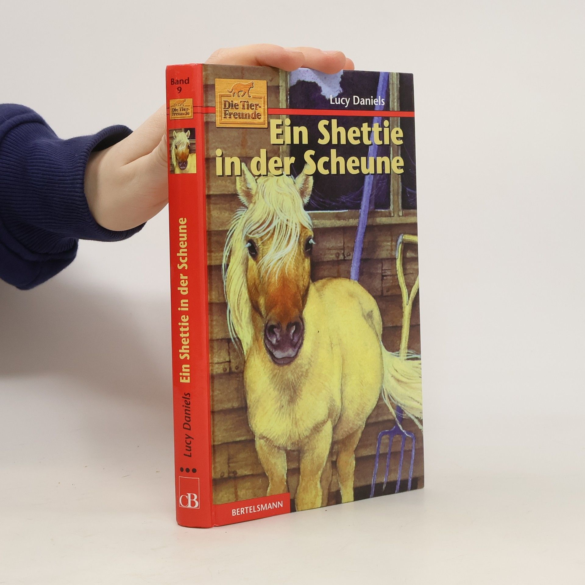 Lucy Daniels Ein Shettie in der Scheune