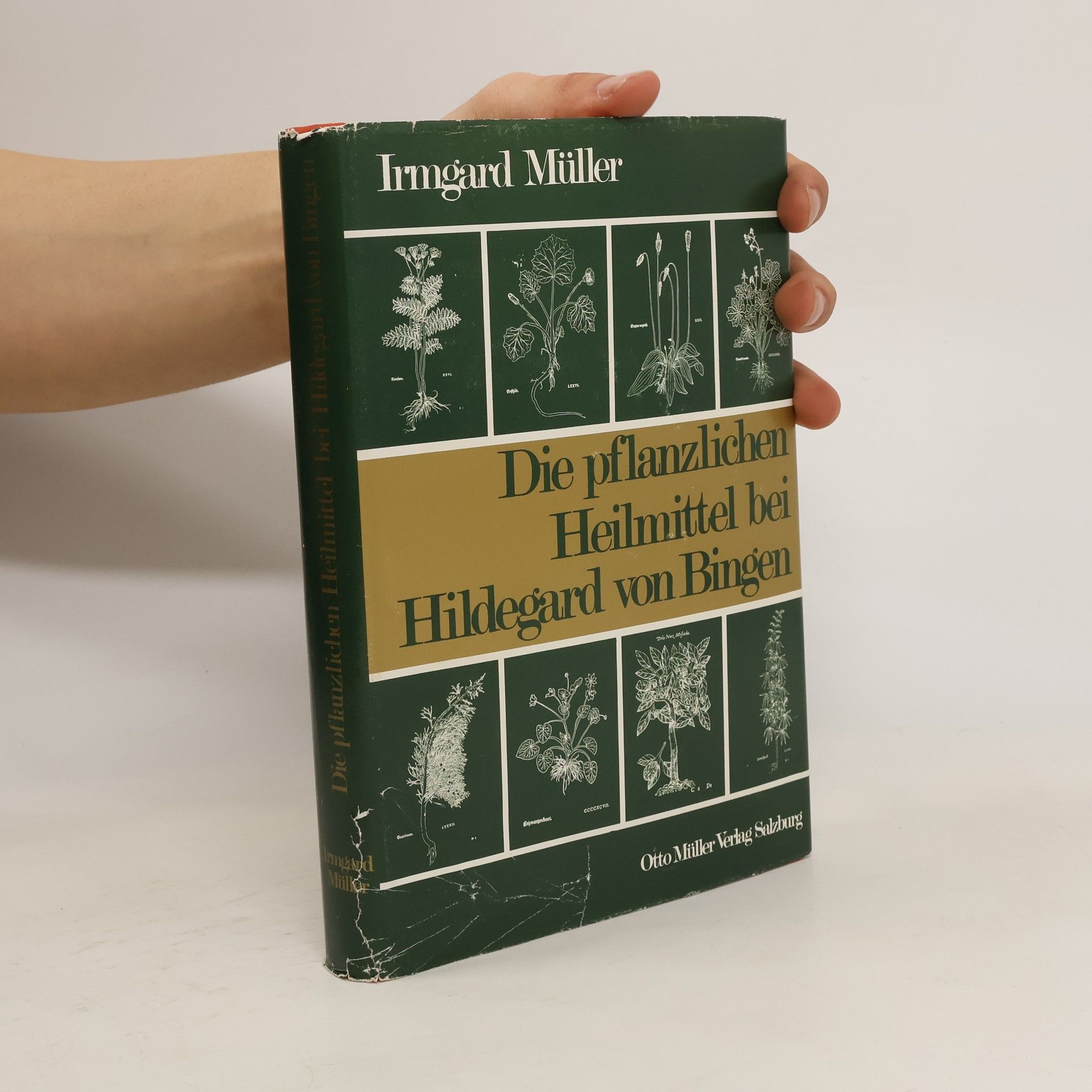 Irmgard Müller Die pflanzlichen Heilmittel bei Hildegard von Bingen