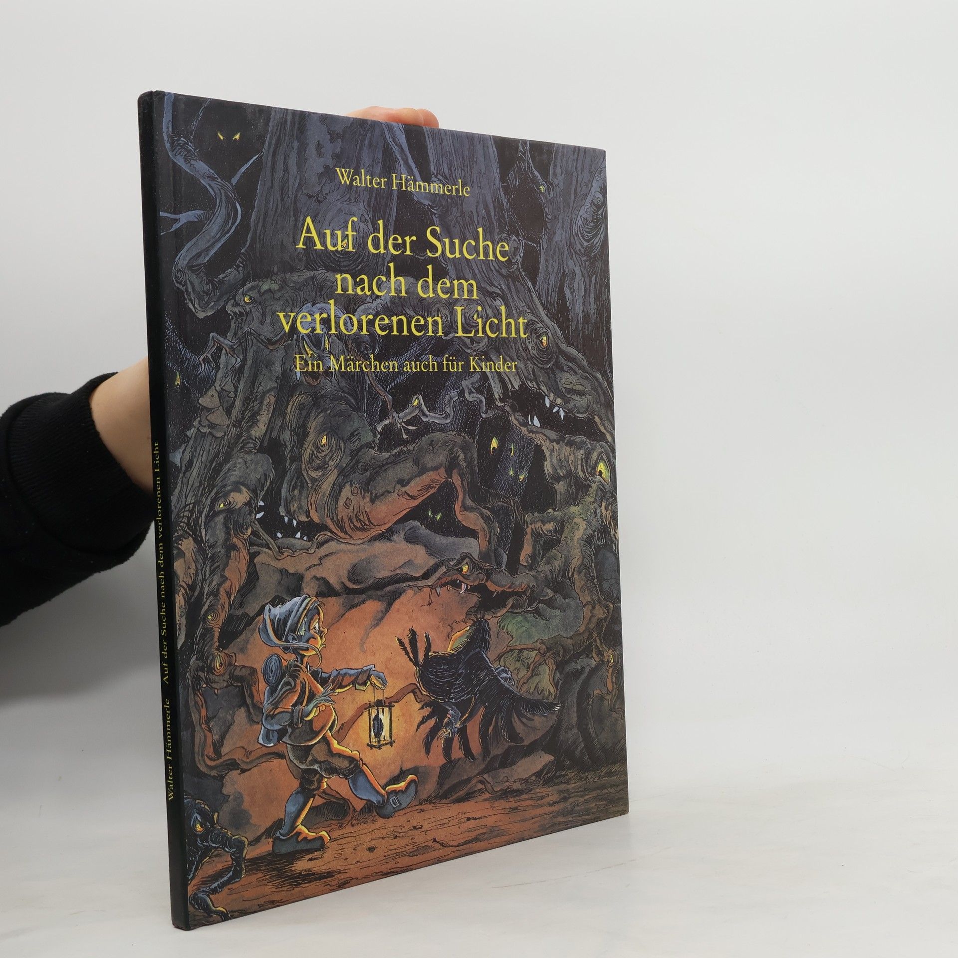Walter Hämmerle Auf der Suche nach dem verlorenen Licht