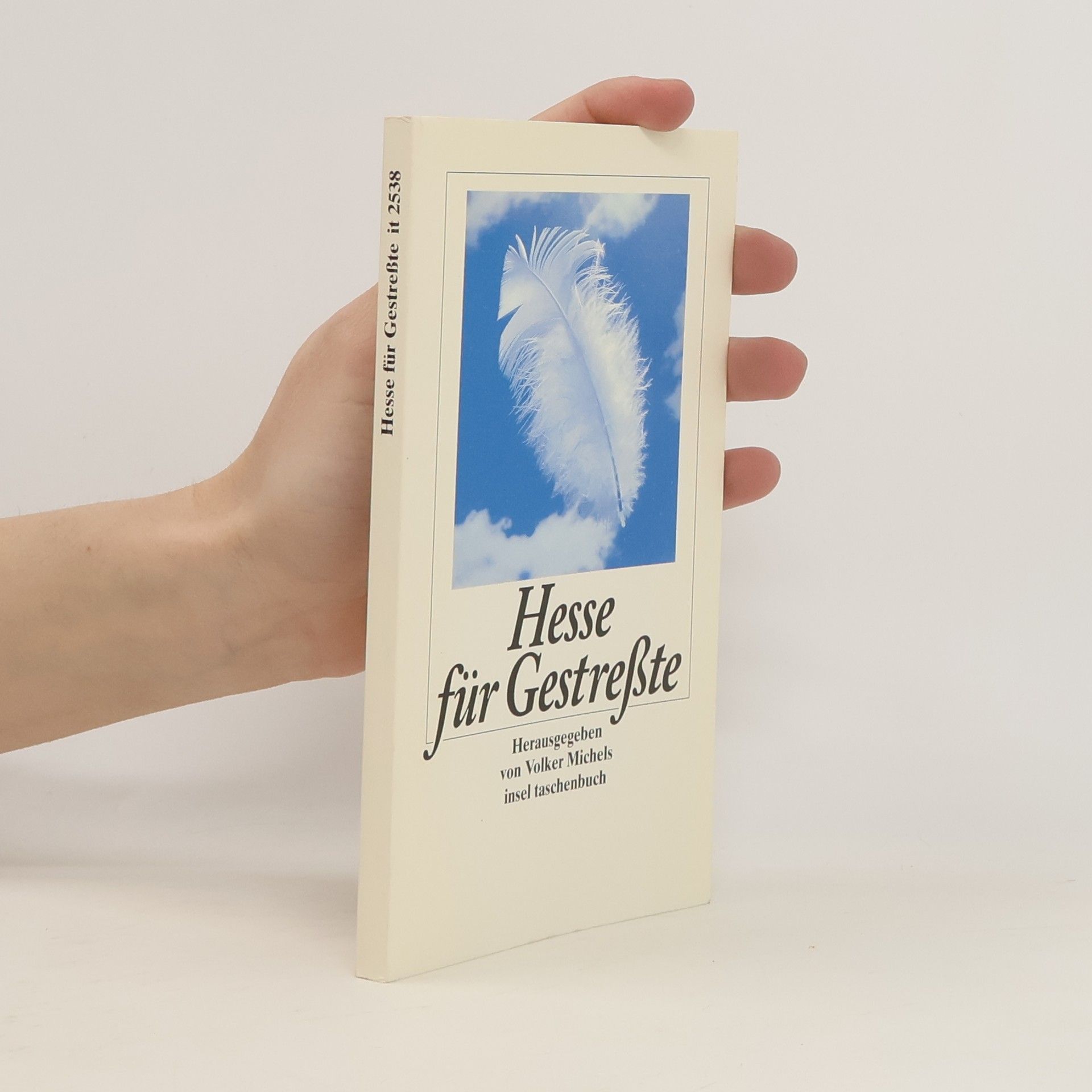 Hermann Hesse Hesse für Gestreßte