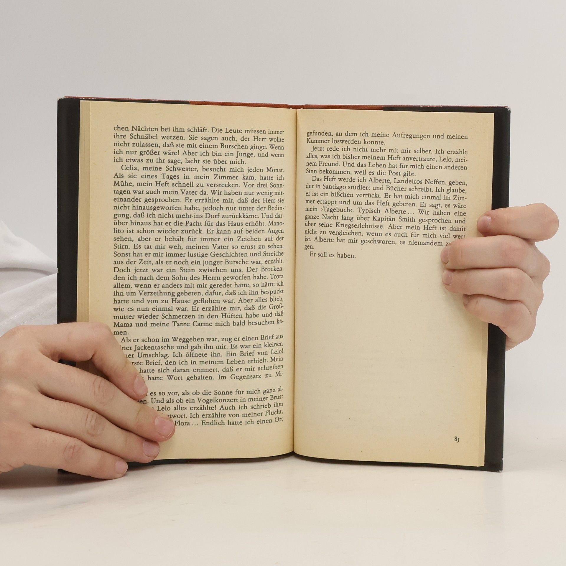 Xosé Neira Vilas Tagebuch einer Kindheit in Galicien
