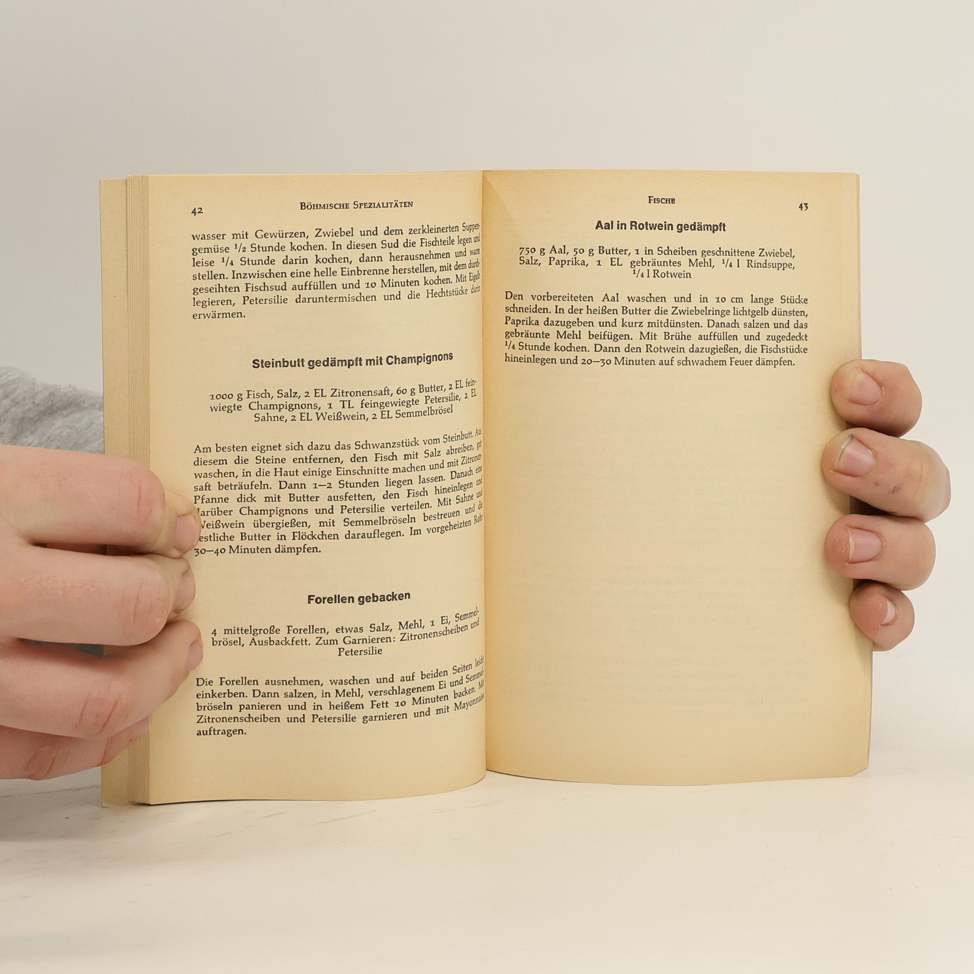 Autorenkollektiv Böhmische Spezialitäten