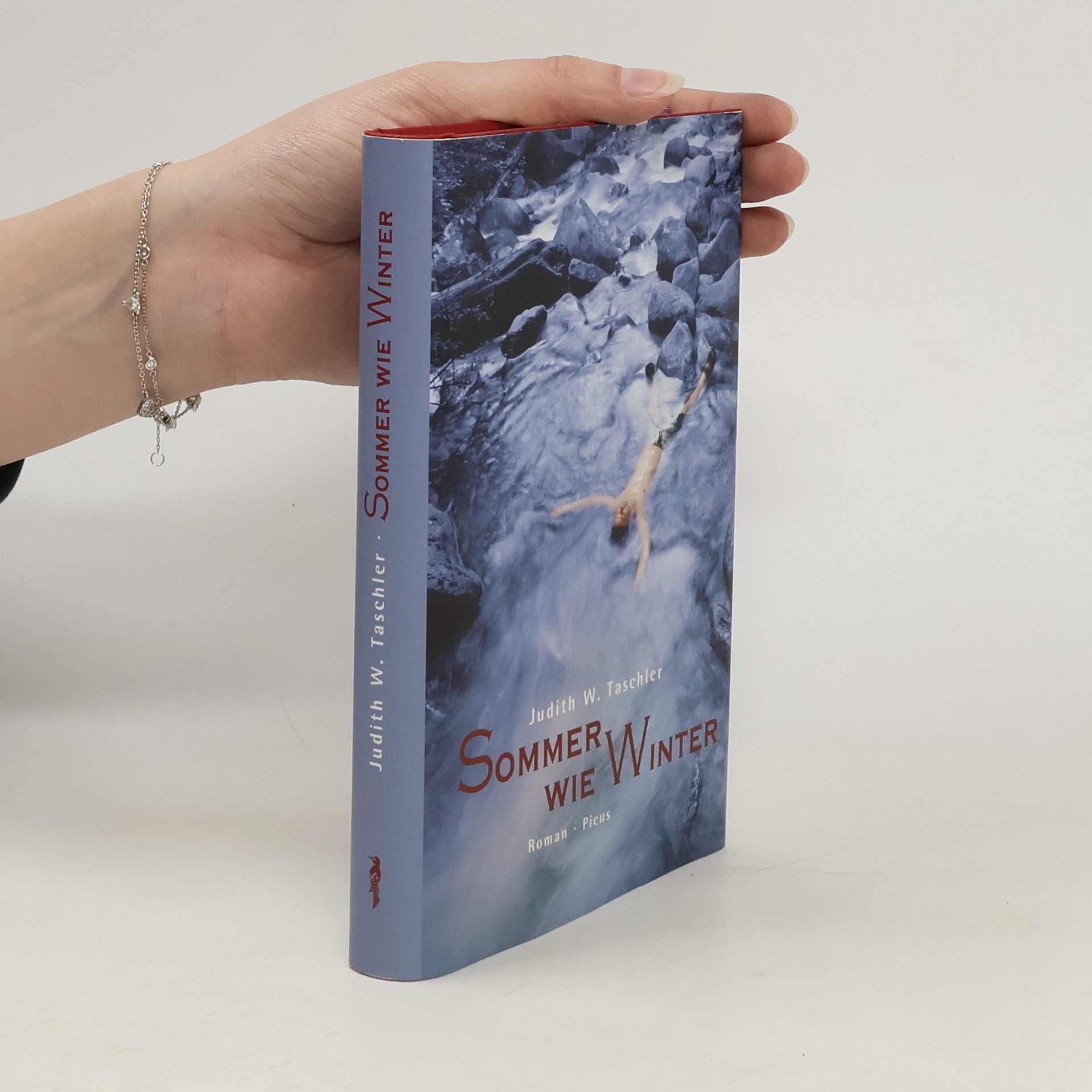 Judith Taschler Sommer wie Winter