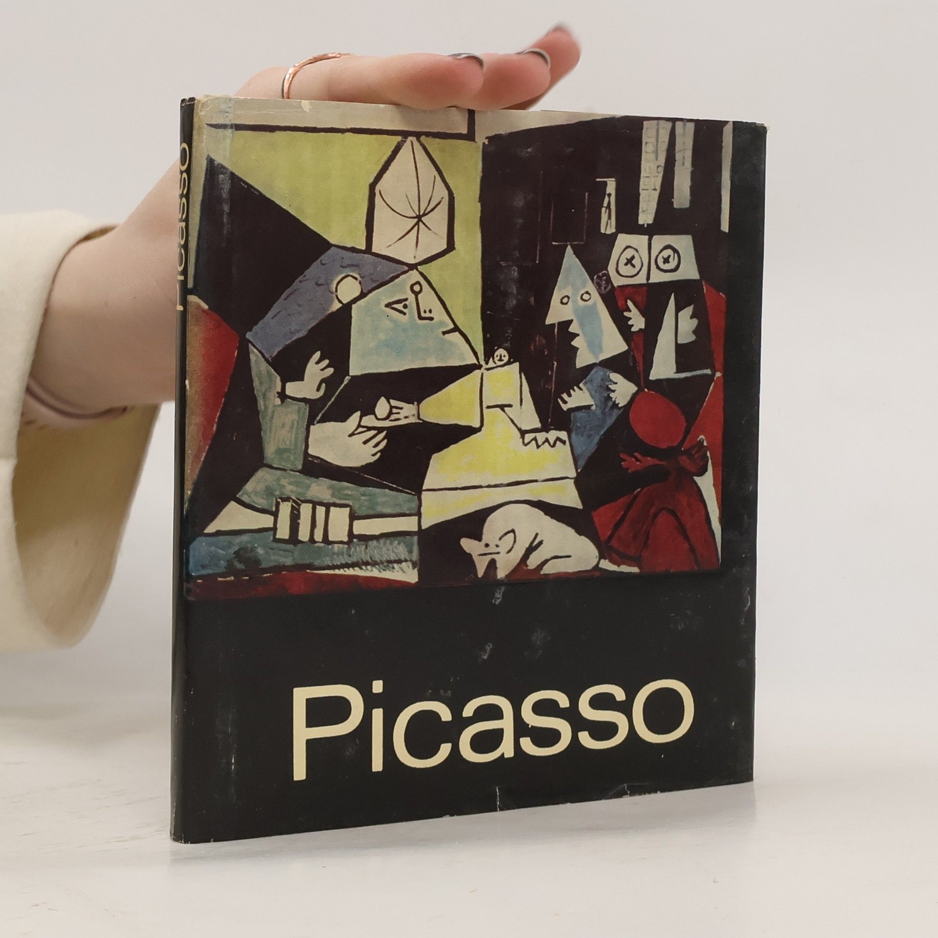 Eva Šefčáková Picasso