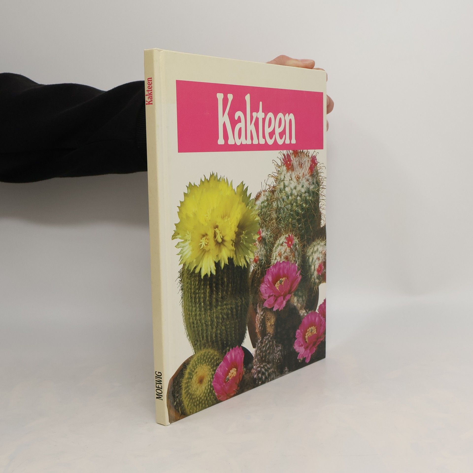 Doris Gottwald Kakteen