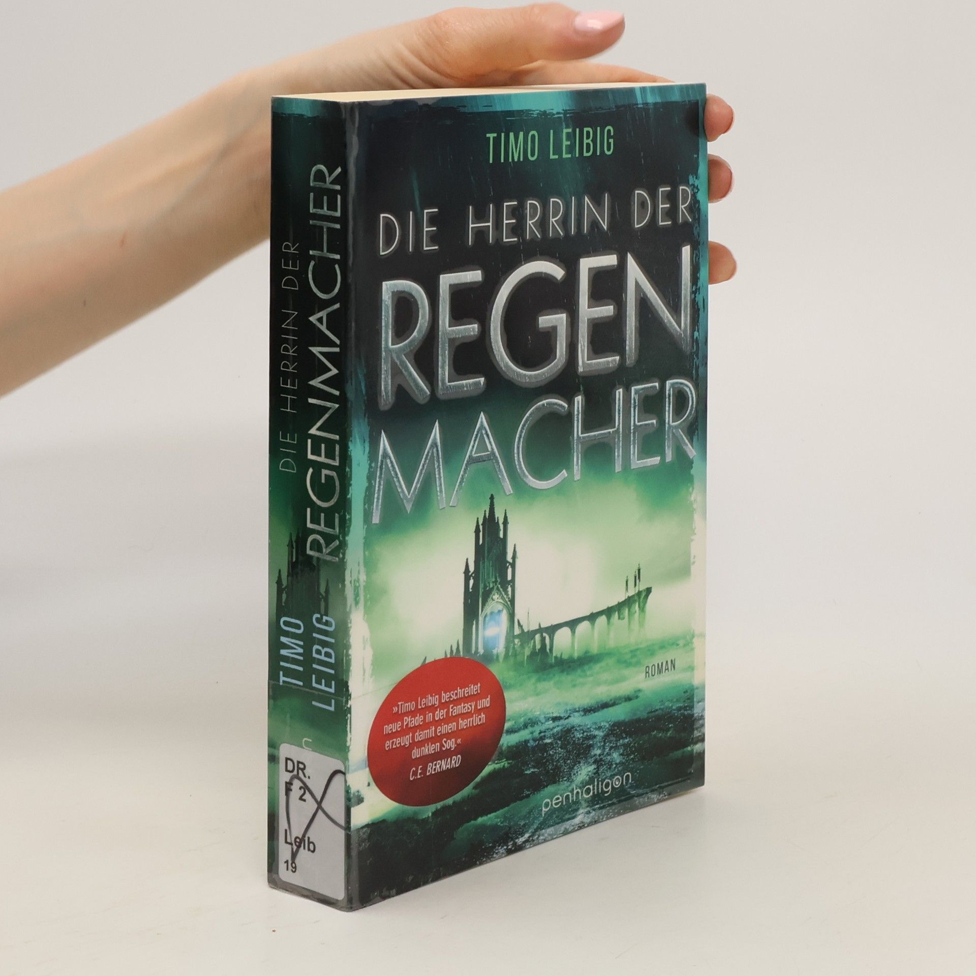 Timo Leibig Die Herrin der Regenmacher