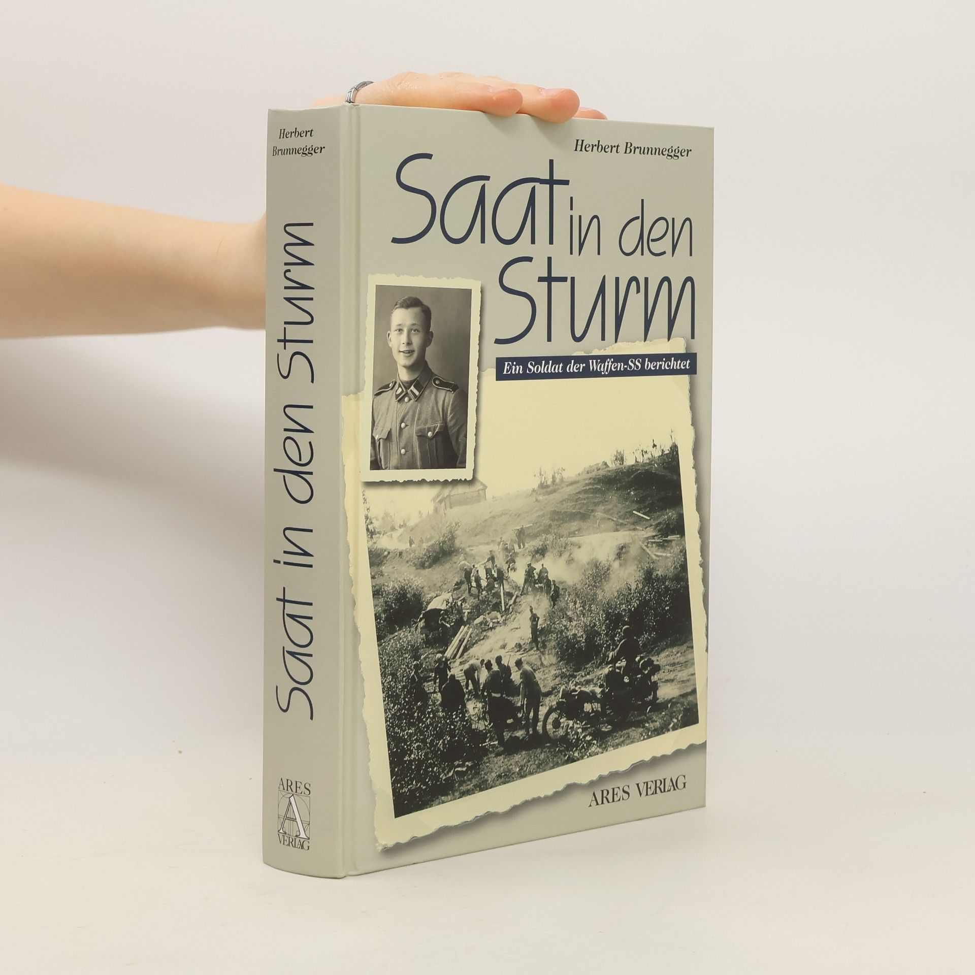 Herbert Brunnegger Saat in den Sturm
