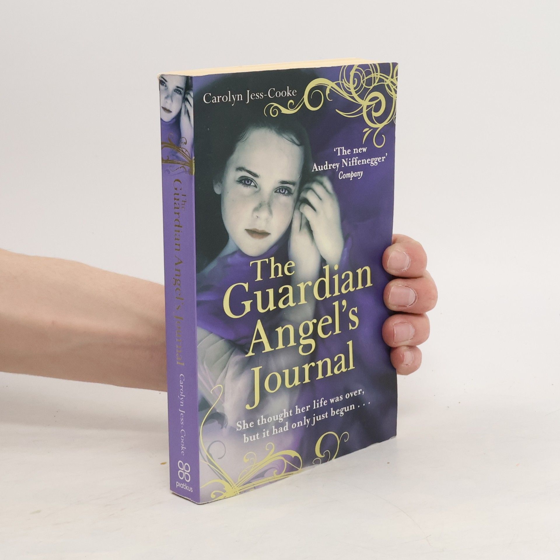 Carolyn Jess Cooke The Guardian Angel's Journal