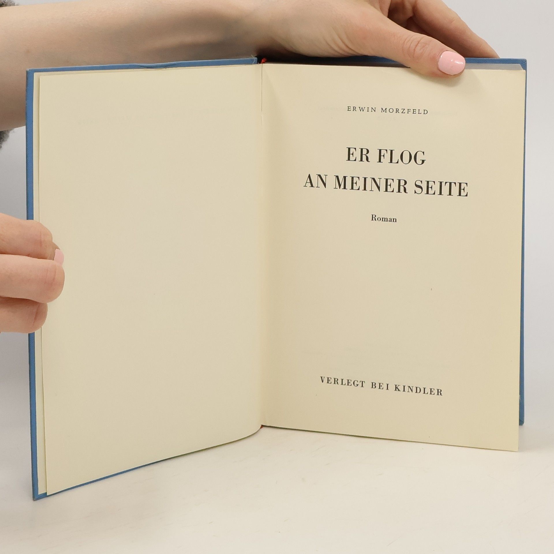 Erwin Morzfeld Er flog an meiner Seite