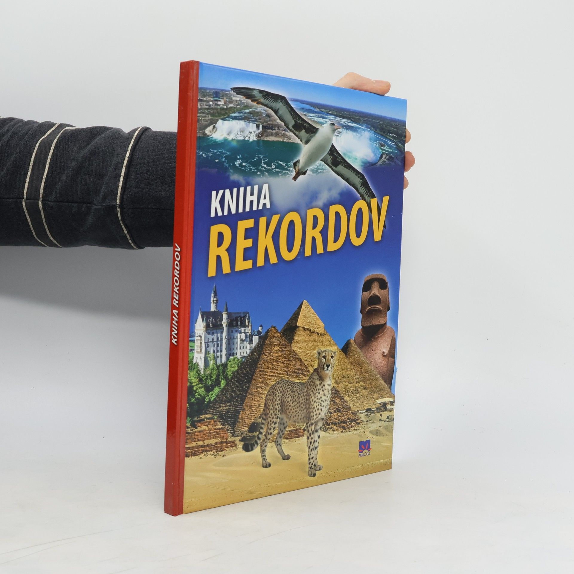 kolektiv Kniha rekordov