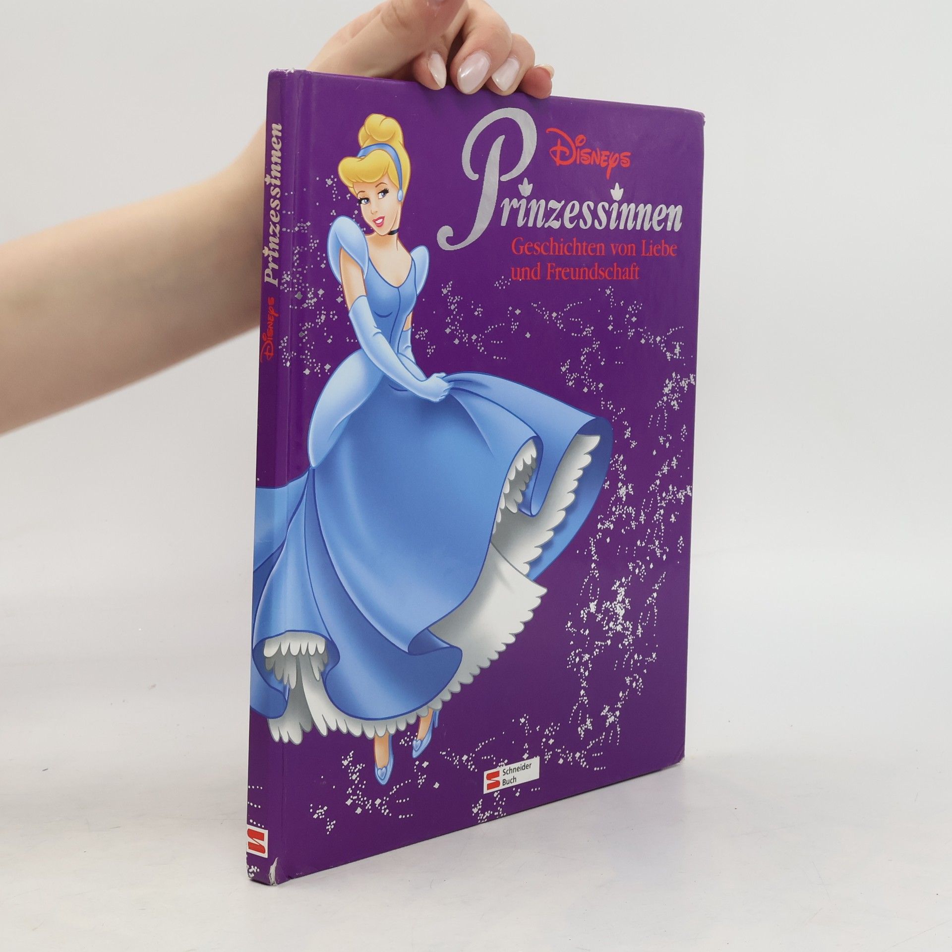 Collectif d'auteurs Disneys Prinzessinnen