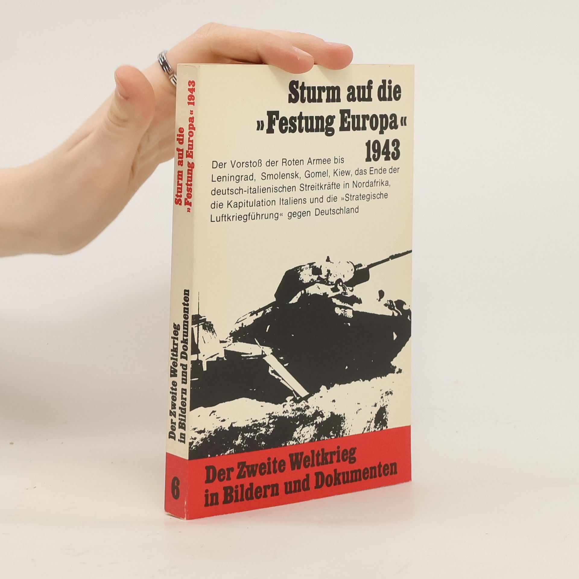 Hans Dollinger Der Sturm auf die Festung Europa