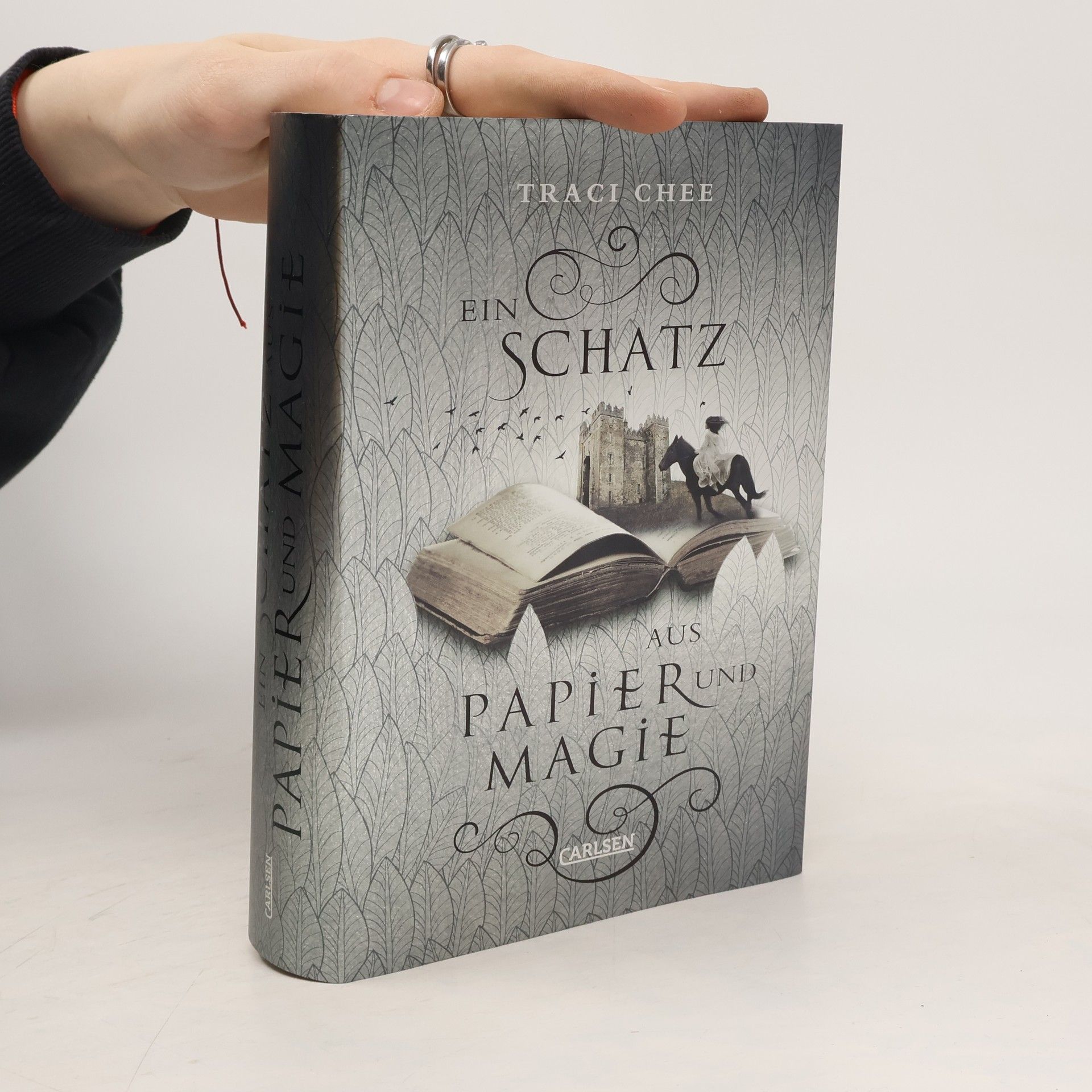Traci Chee Ein Schatz aus Papier und Magie