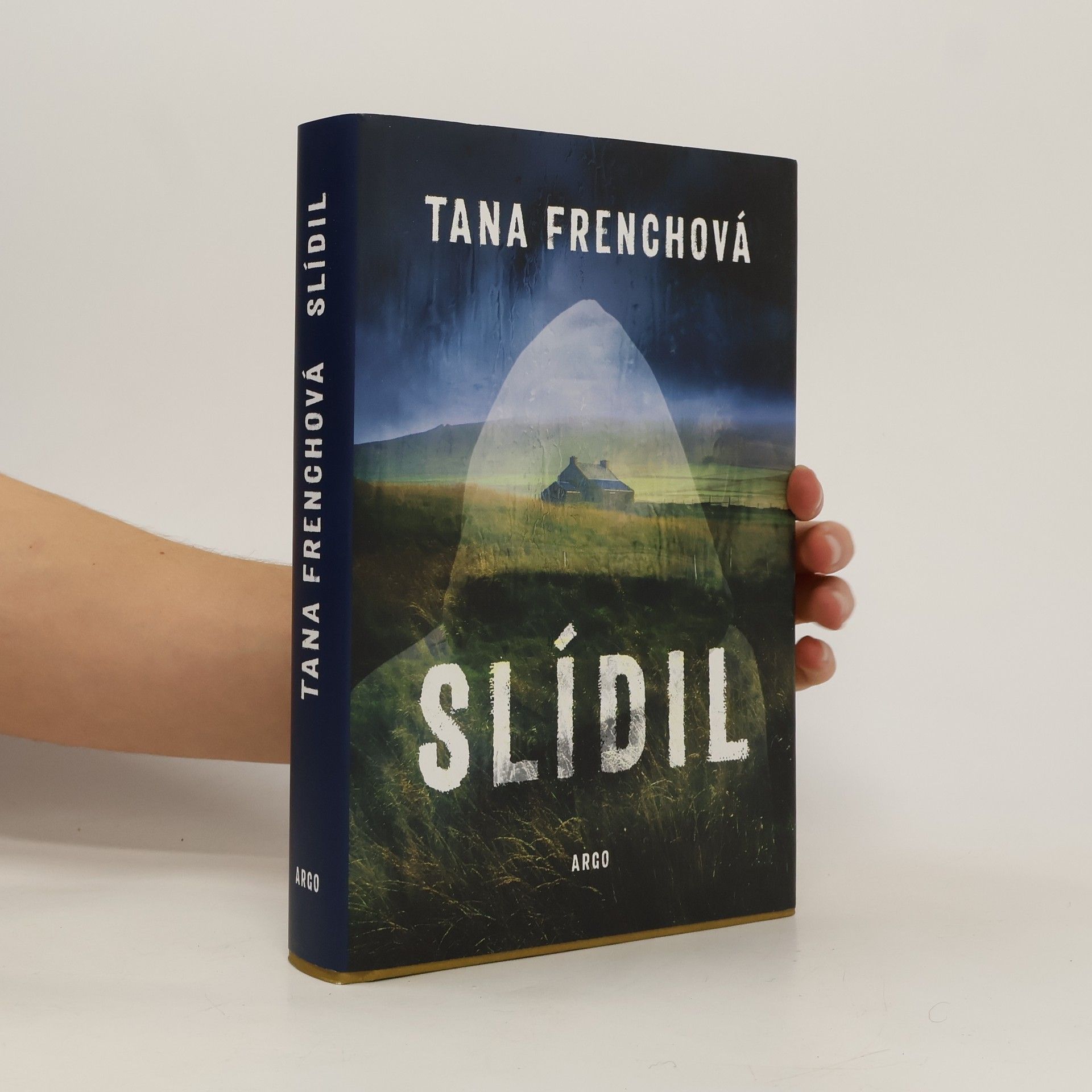 Tana French Slídil