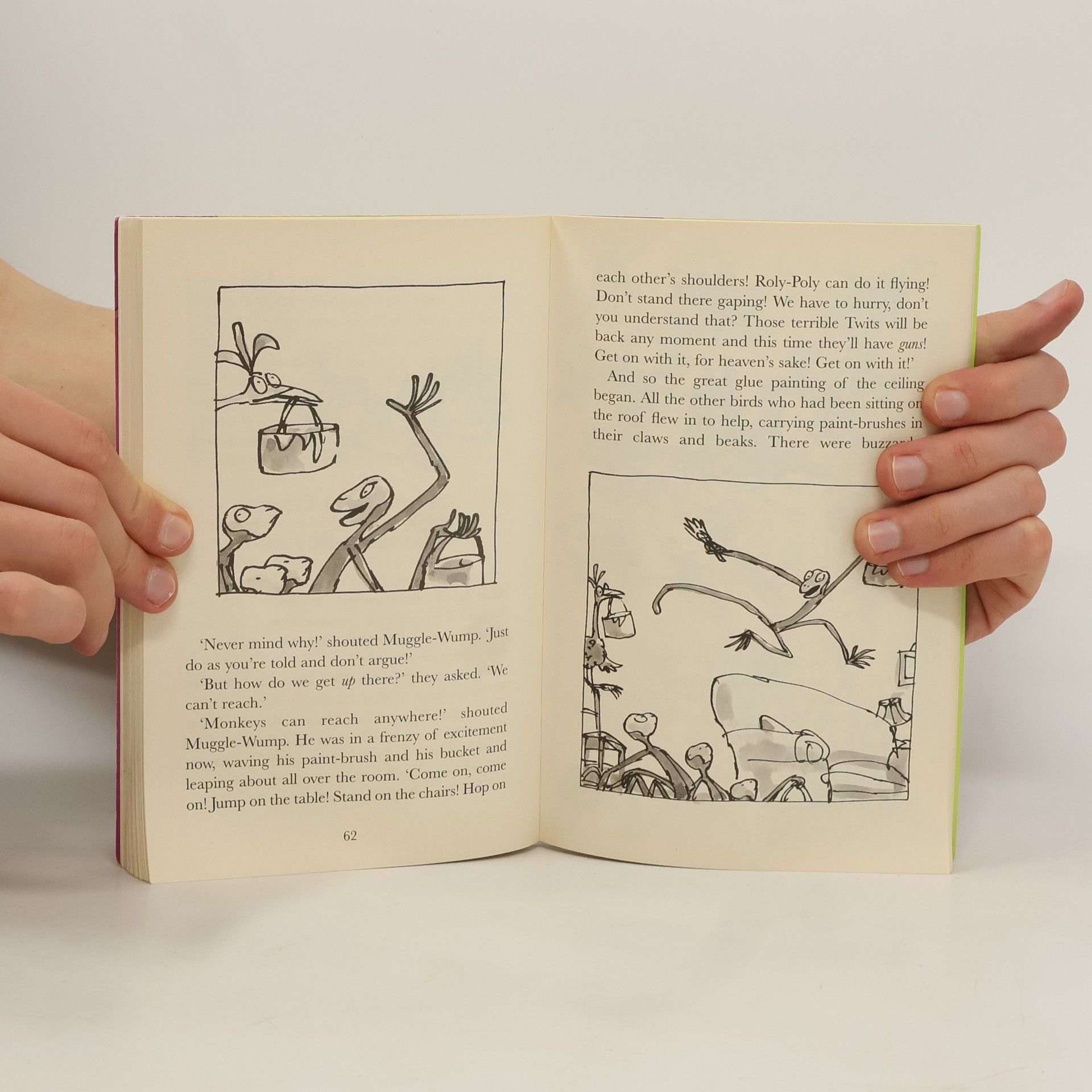 Roald Dahl The twits