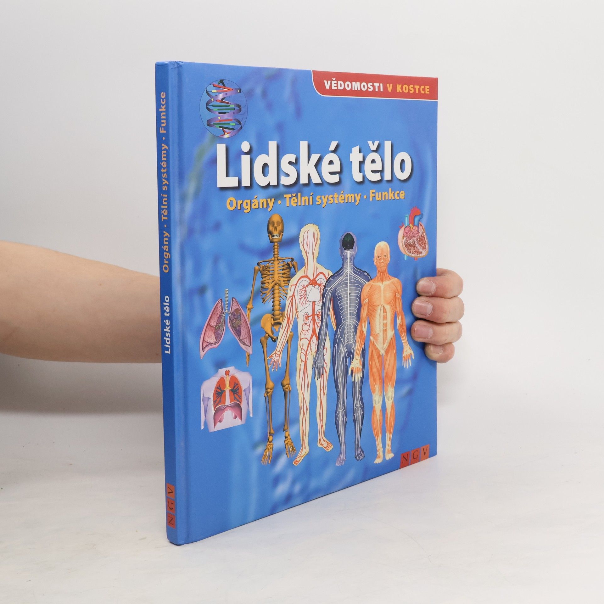 kolektiv Lidské tělo. Orgány. Tělní systémy. Funkce