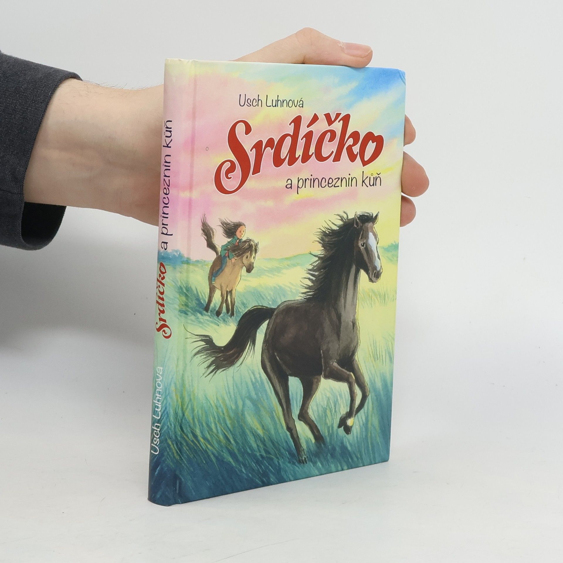 Usch Luhn Srdíčko a princeznin kůň