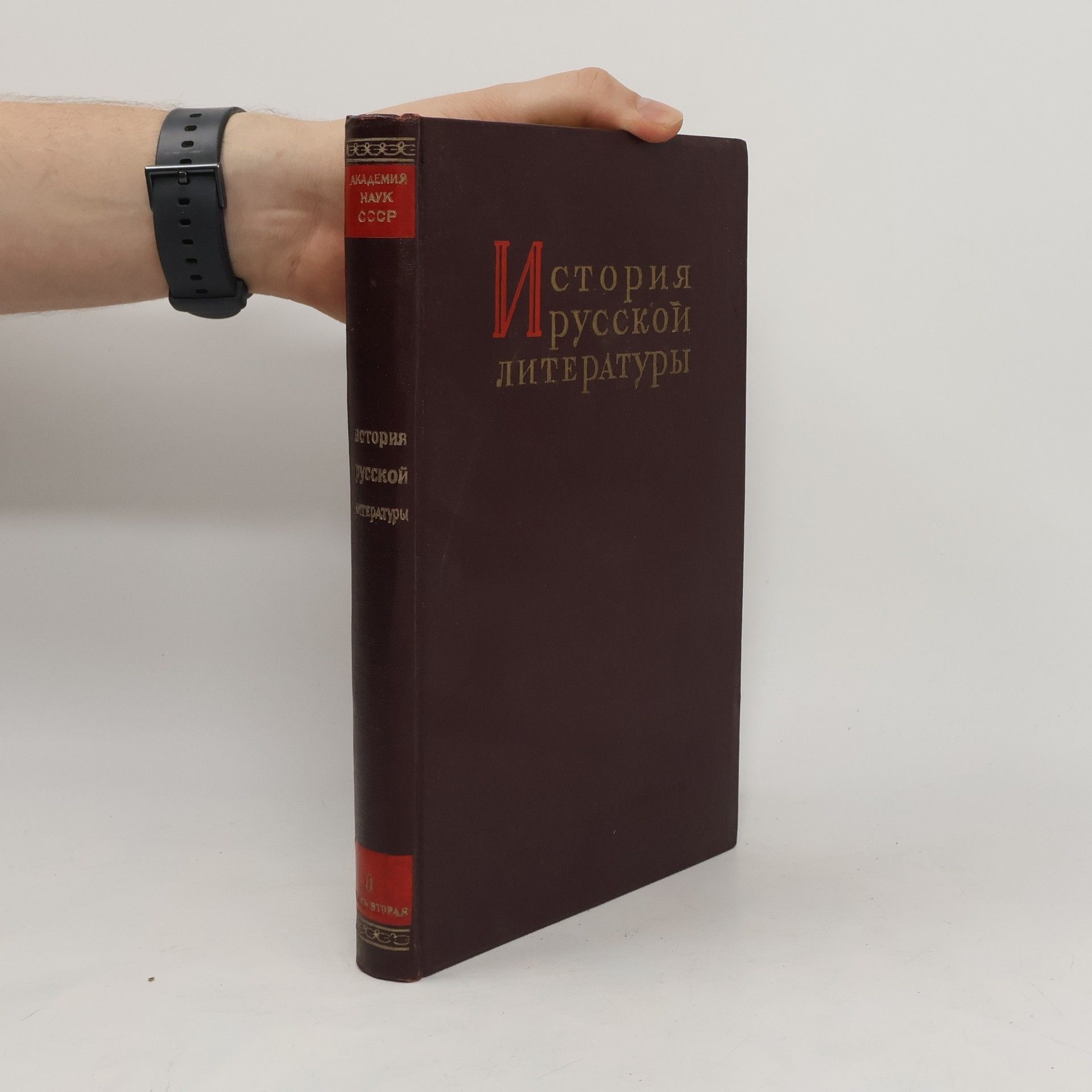 Autorenkollektiv История русской литературы II.