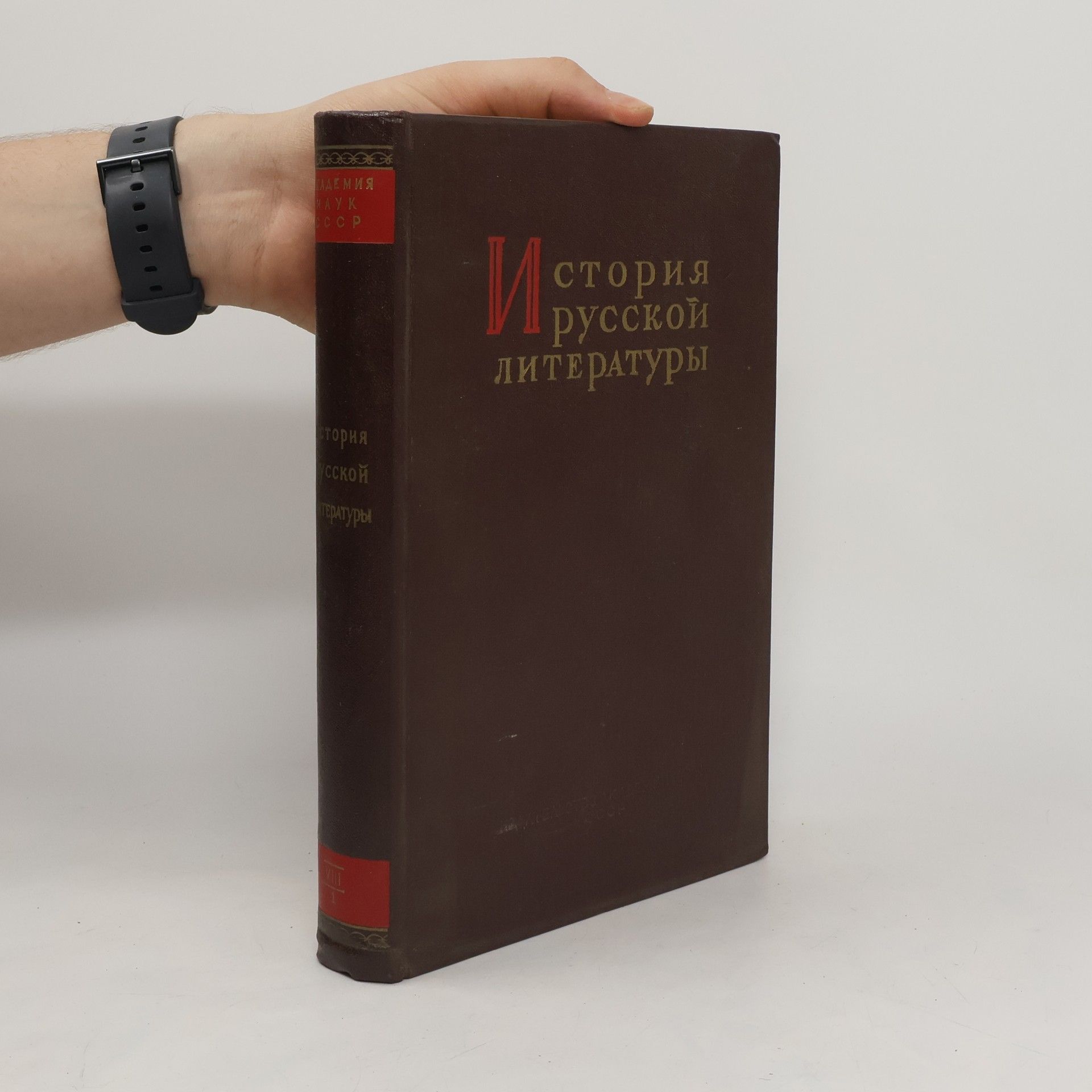 Autorenkollektiv История русской литературы VIII.