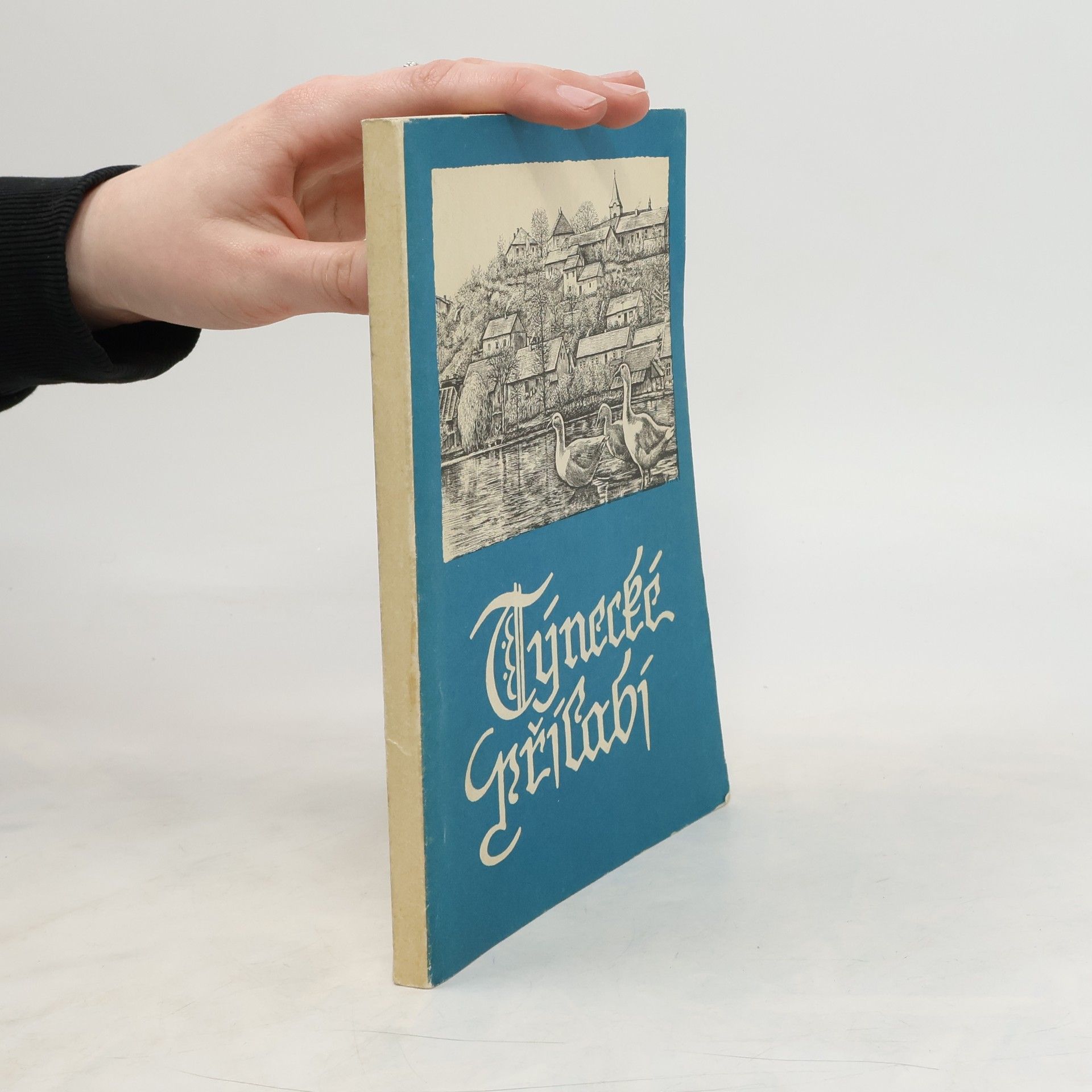 Josef Vlastník Týnecké Přílabí