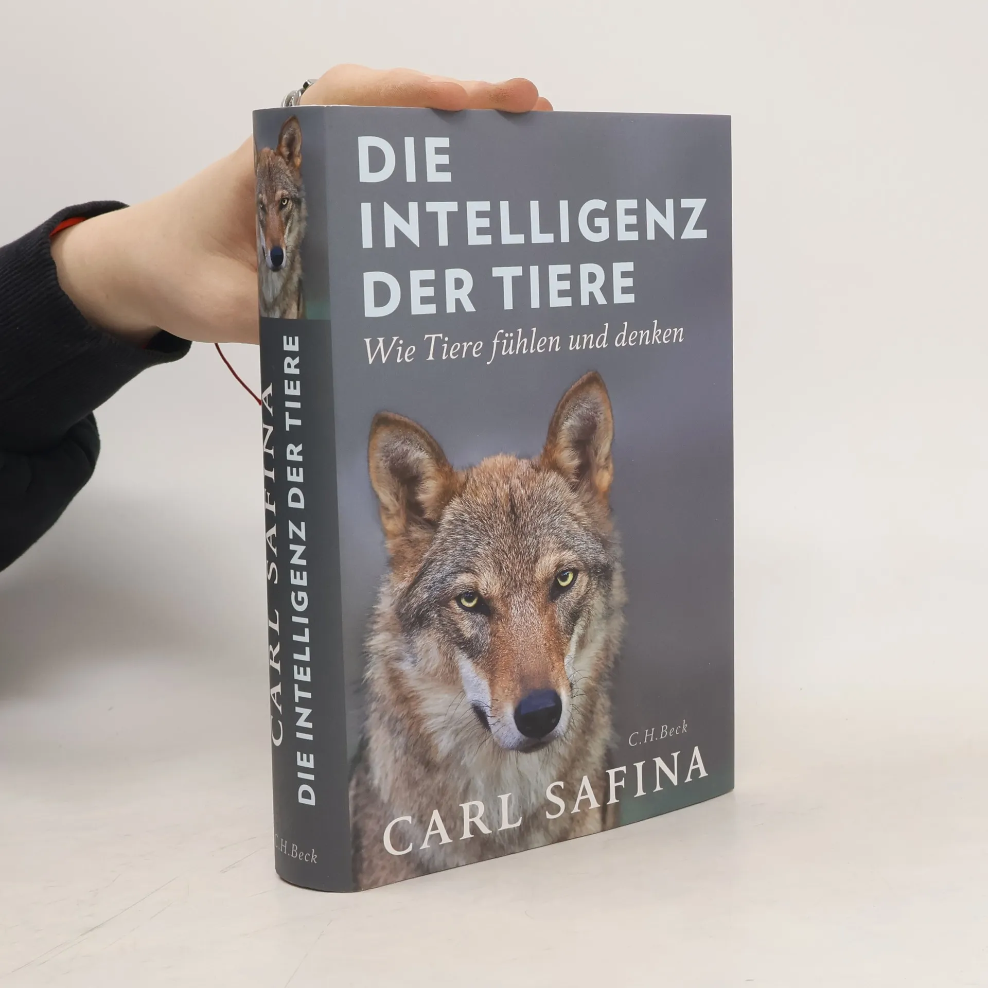 Die Intelligenz der Tiere | Kniha | Carl Safina | DE