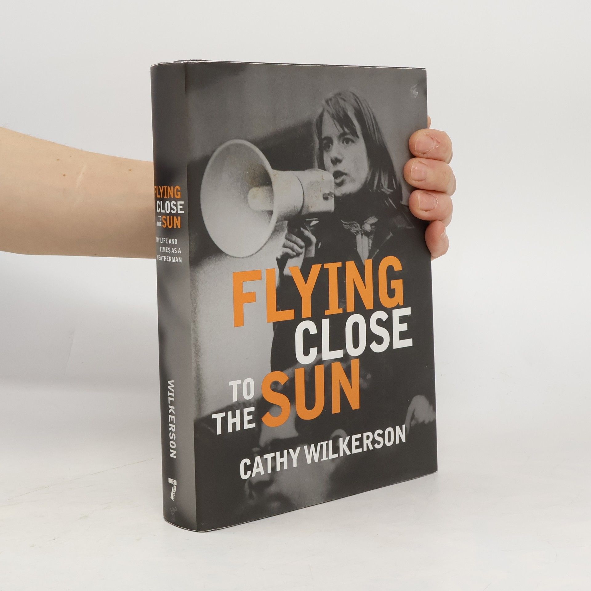 Cathy Wilkerson Flying Close to the Sun