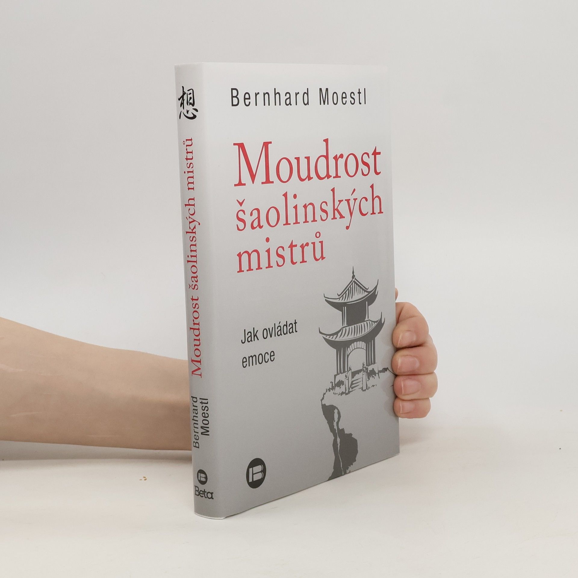 Bernhard Moestl Moudrost šaolinských mistrů