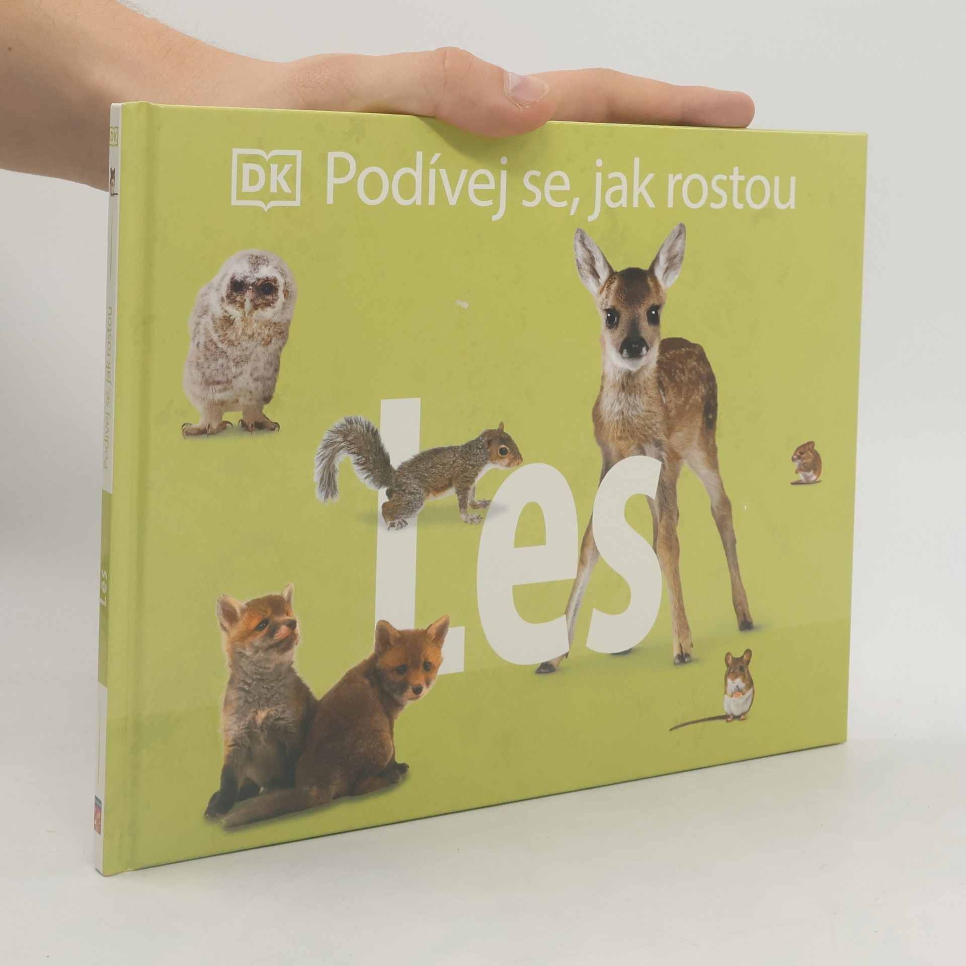 Autorenkollektiv Podívej se, jak rostou: Les