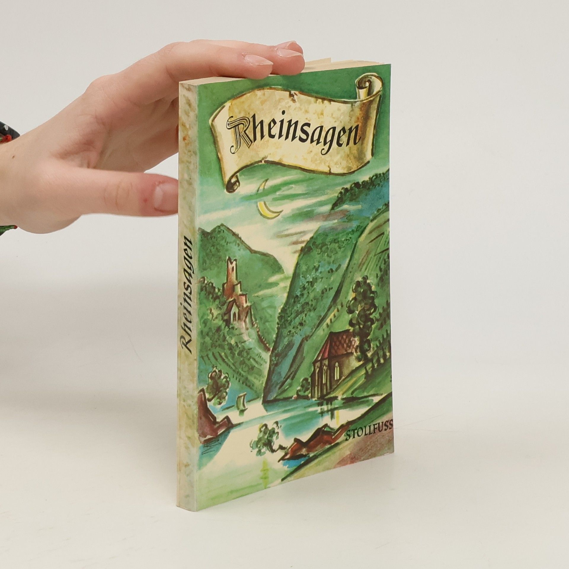 Collectif d'auteurs Rheinsagen. Ein poetischer Rheinführer