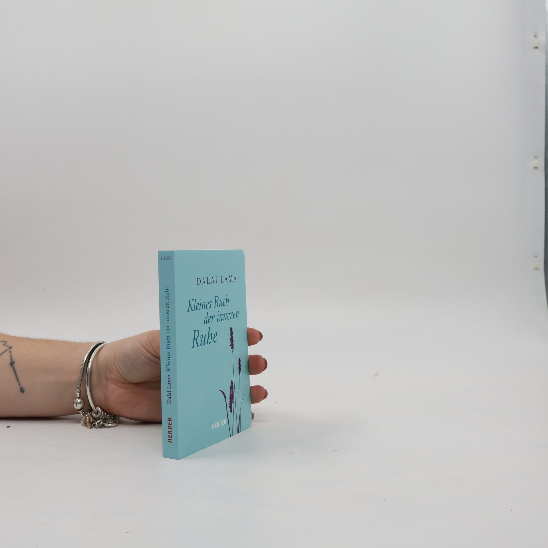Dalajlama Kleines Buch der inneren Ruhe