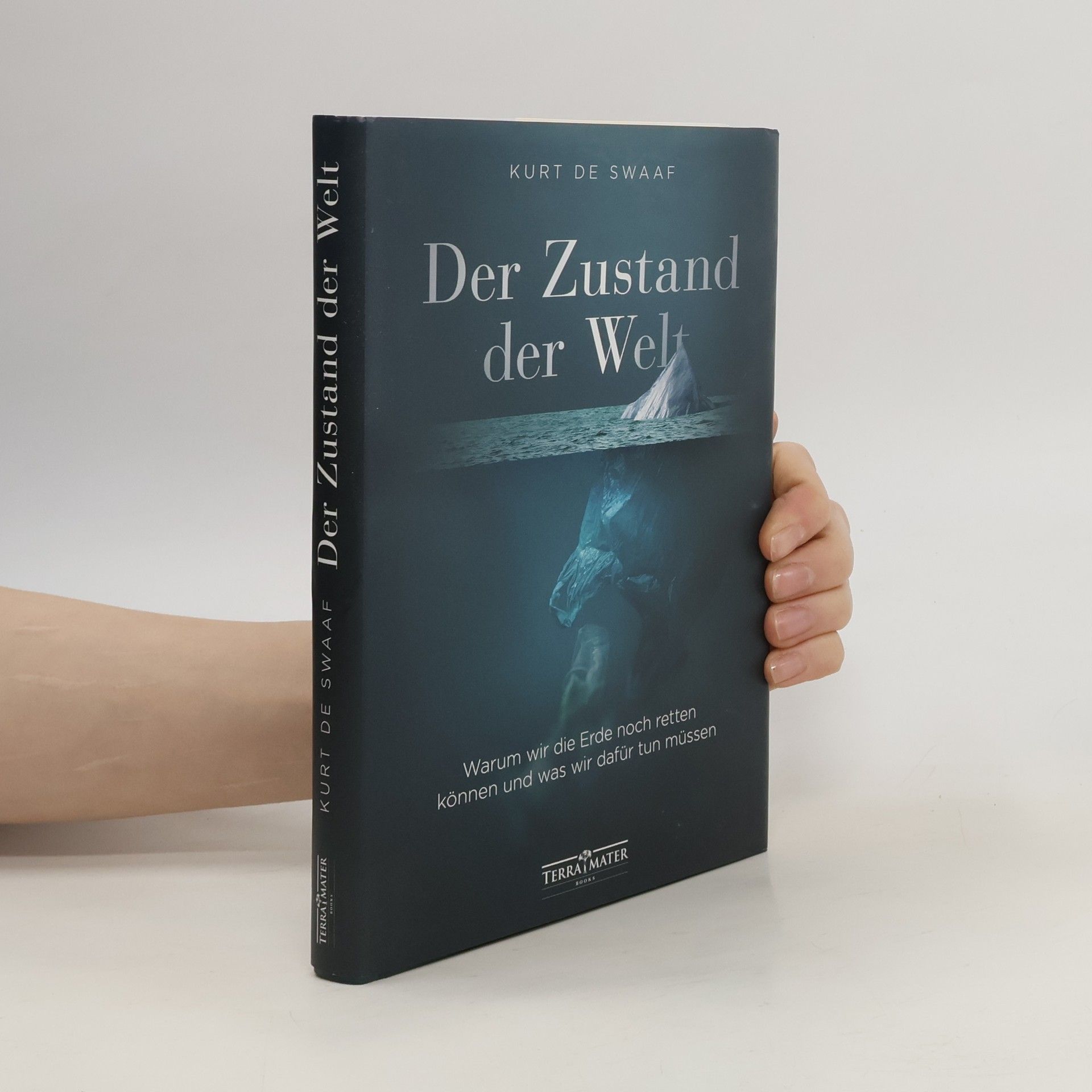 Kurt de Swaaf Der Zustand der Welt