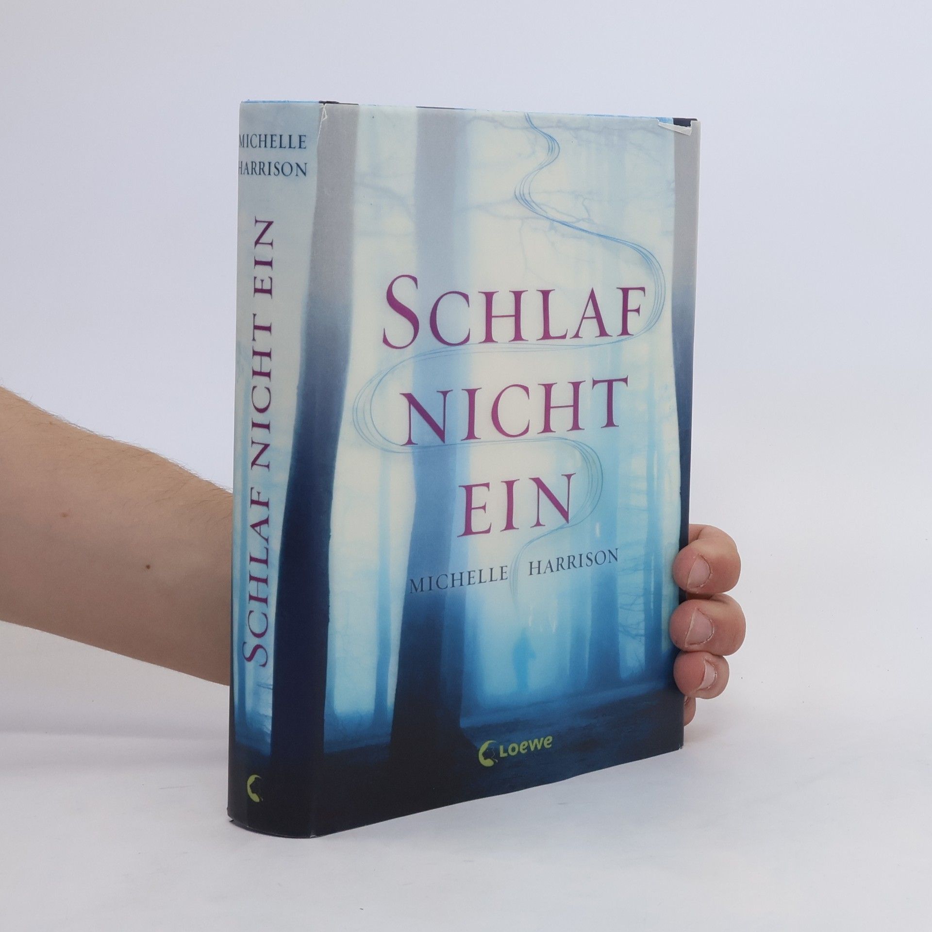 Michelle Harrison Schlaf nicht ein