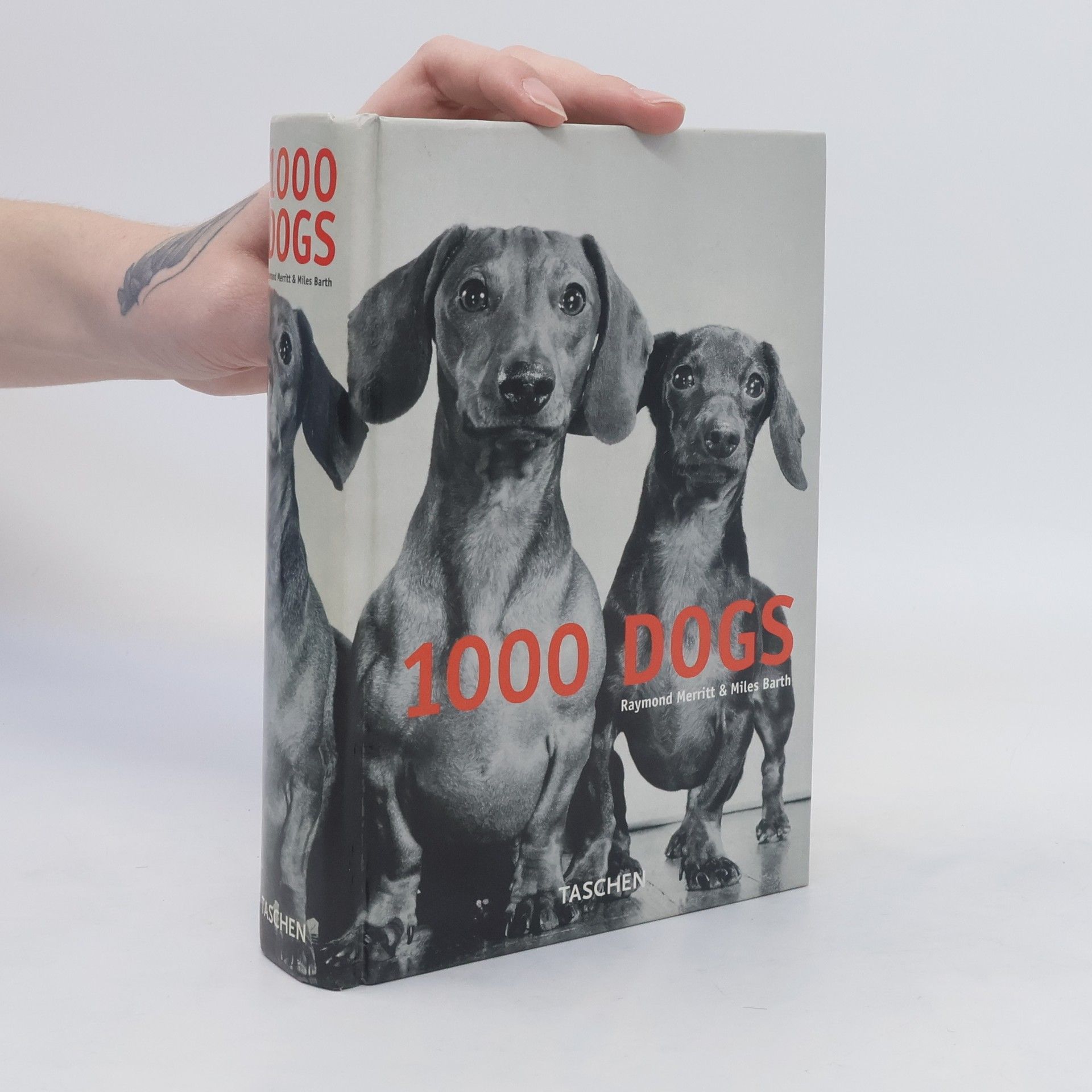 Miles Barth 1000 dogs