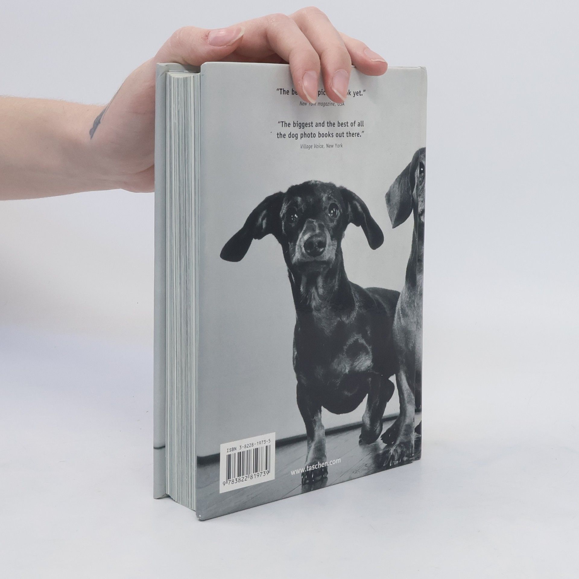 Miles Barth 1000 dogs
