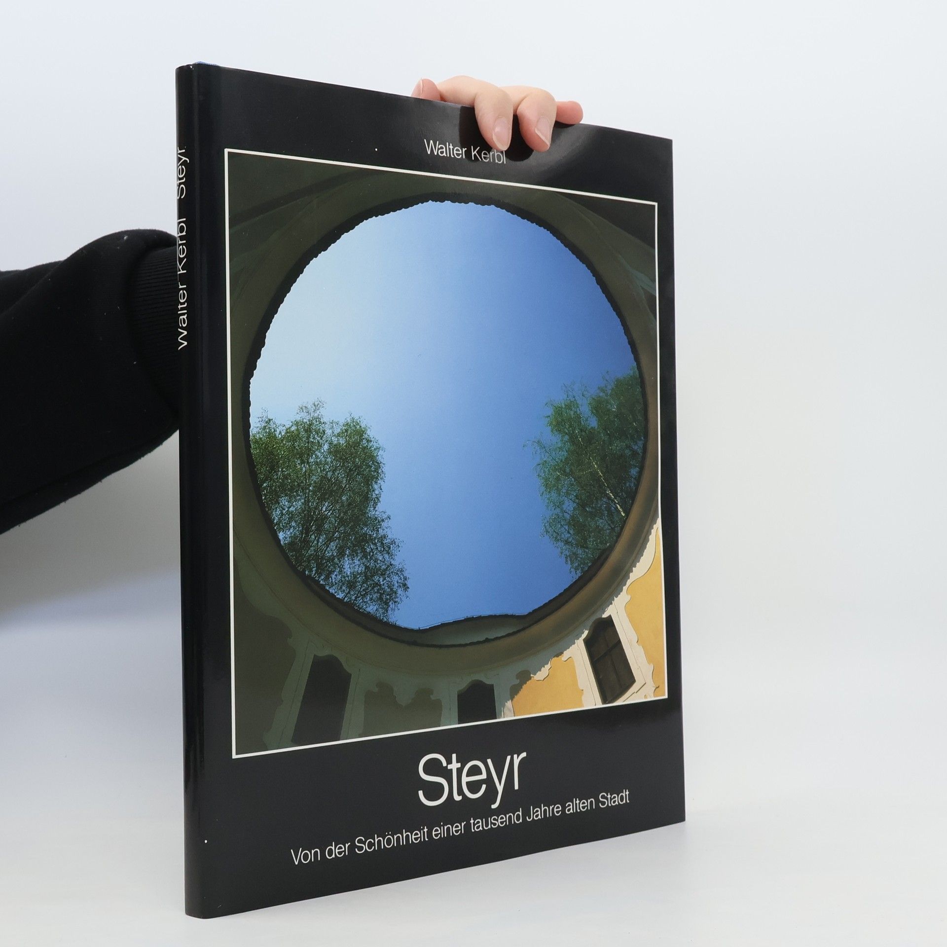 Autorenkollektiv Steyr. Von der Schönheit einer tausend Jahre alten Stadt