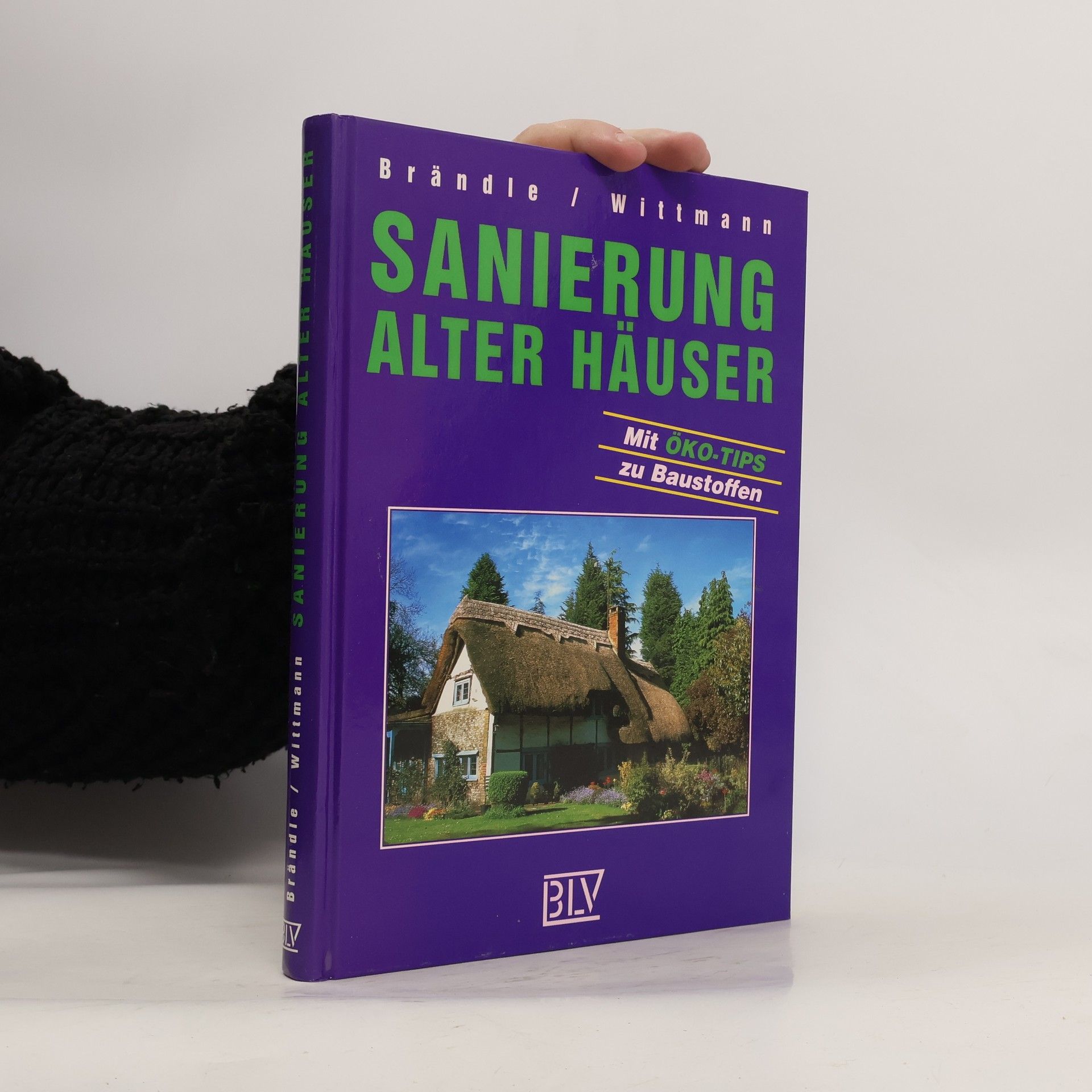 Sanierung alter Häuser