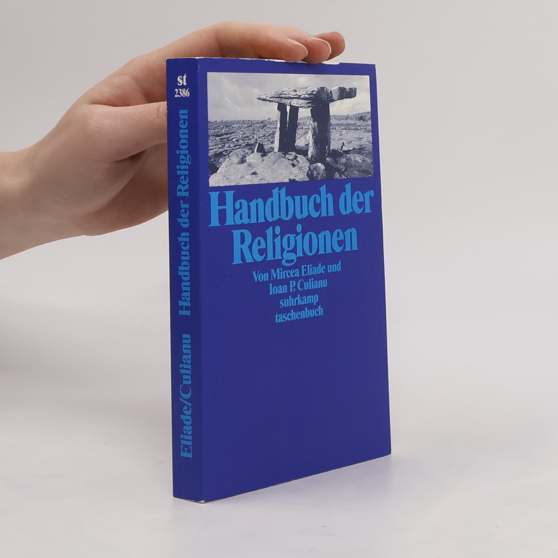 Mircea Eliade Handbuch der Religionen