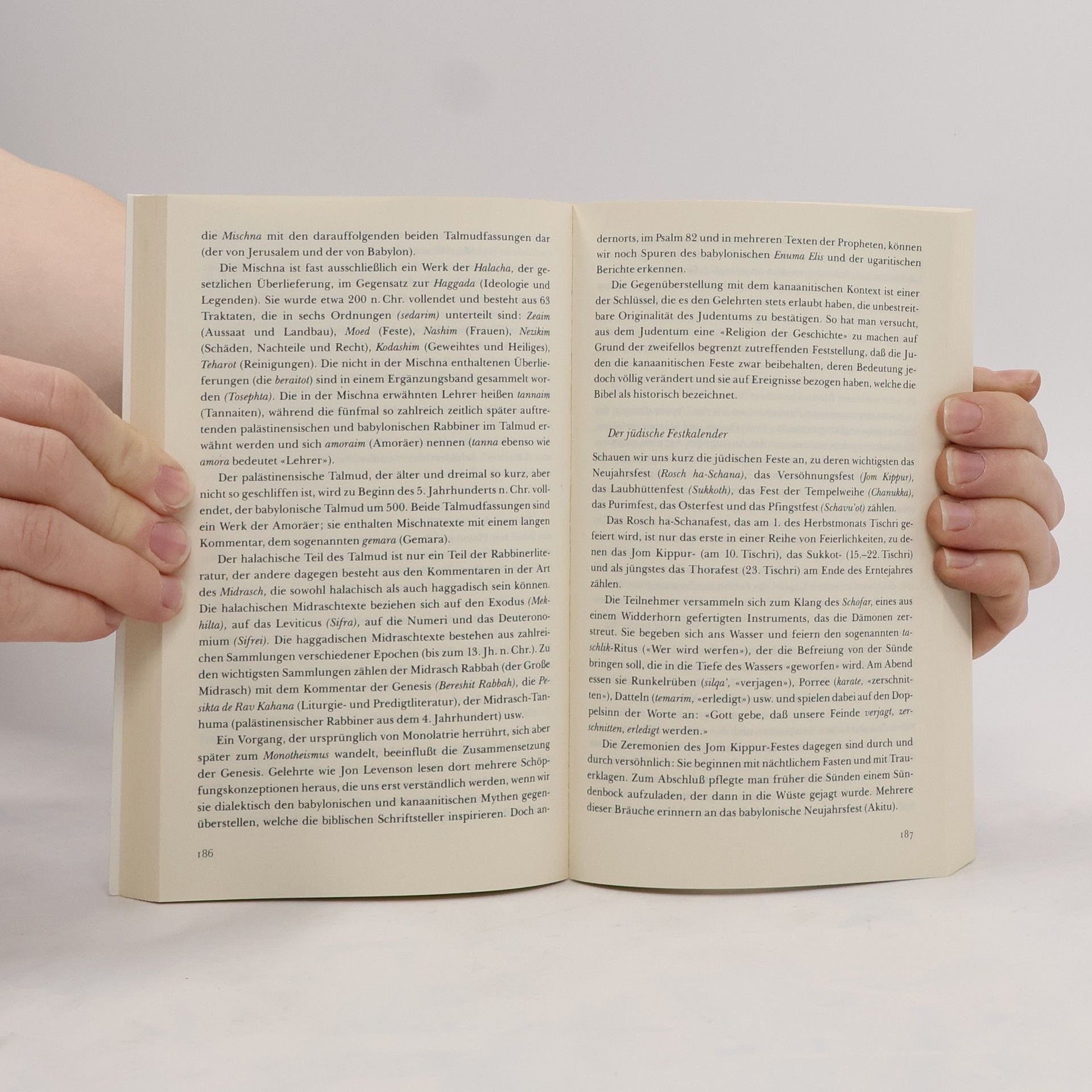 Mircea Eliade Handbuch der Religionen