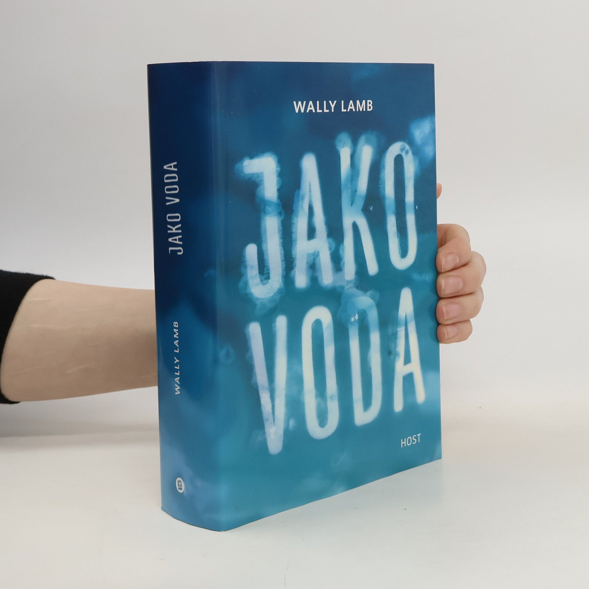 Wally Lamb Jako voda