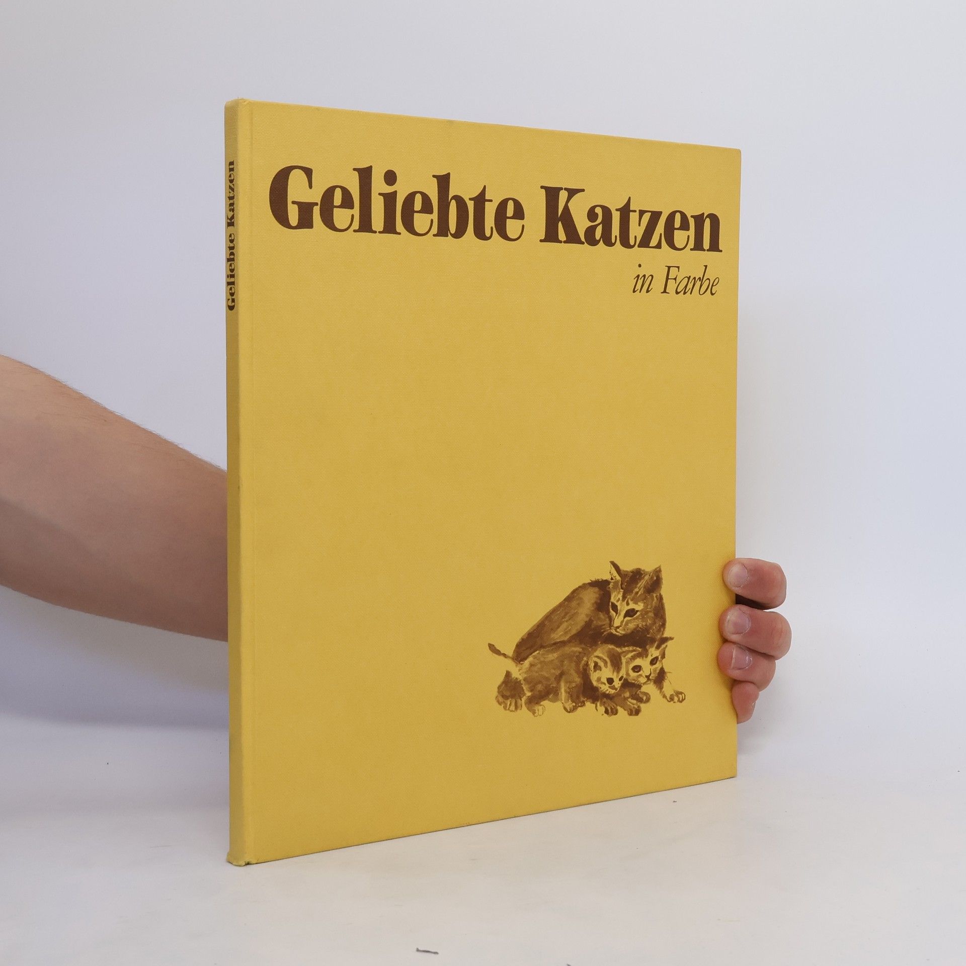 Autorenkollektiv Geliebte Katzen in Farbe