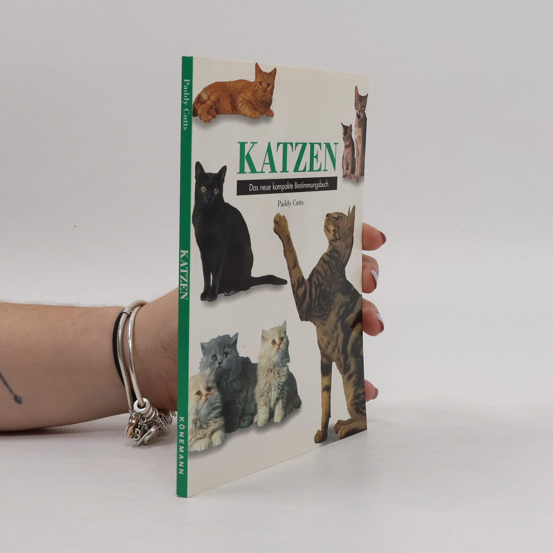 Paddy Cutts Katzen