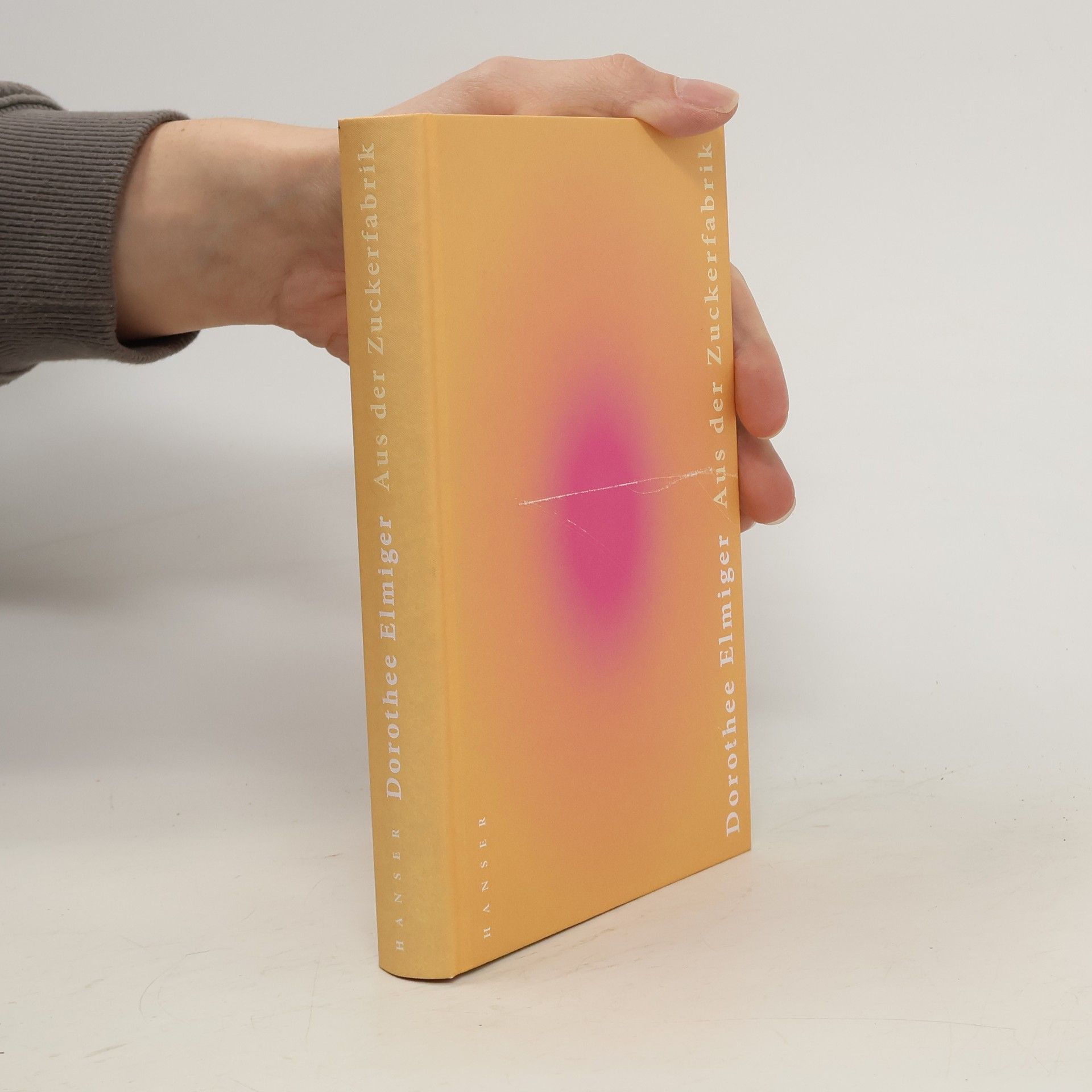 Dorothee Elmiger Aus der Zuckerfabrik