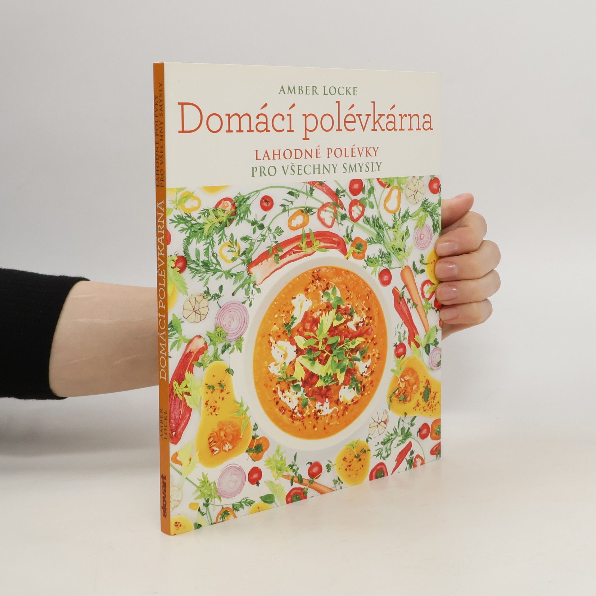 Amber Locke Domácí polévkárna - Lahodné polévky pro všechny smysly
