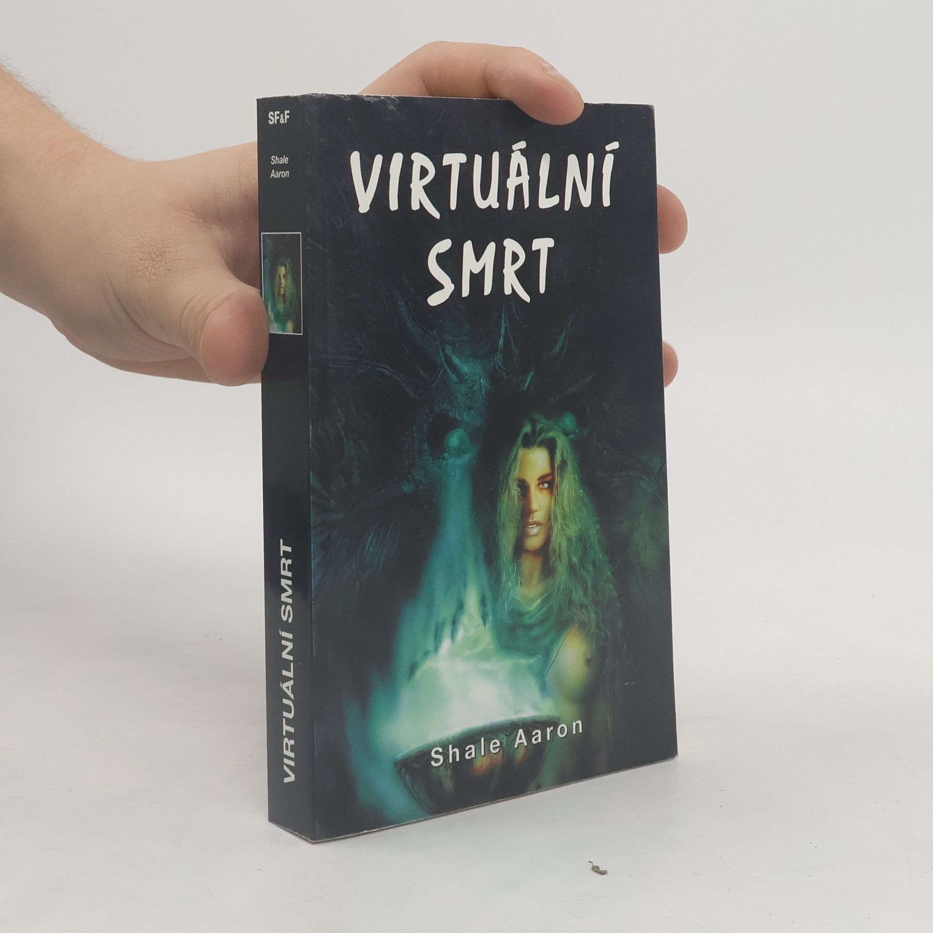 Robert Boswell Virtuální smrt
