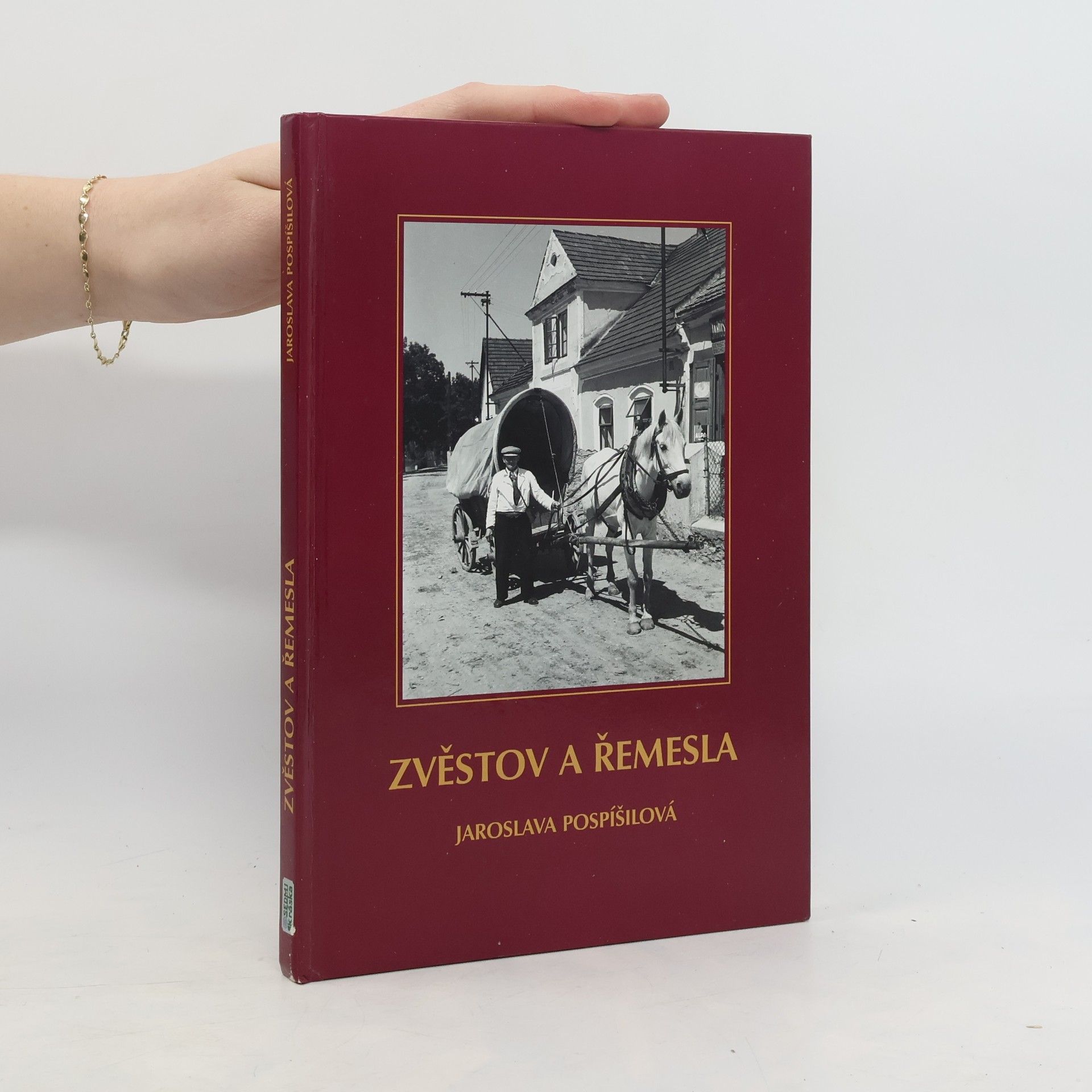 Jaroslava Pospíšilová Zvěstov a řemesla